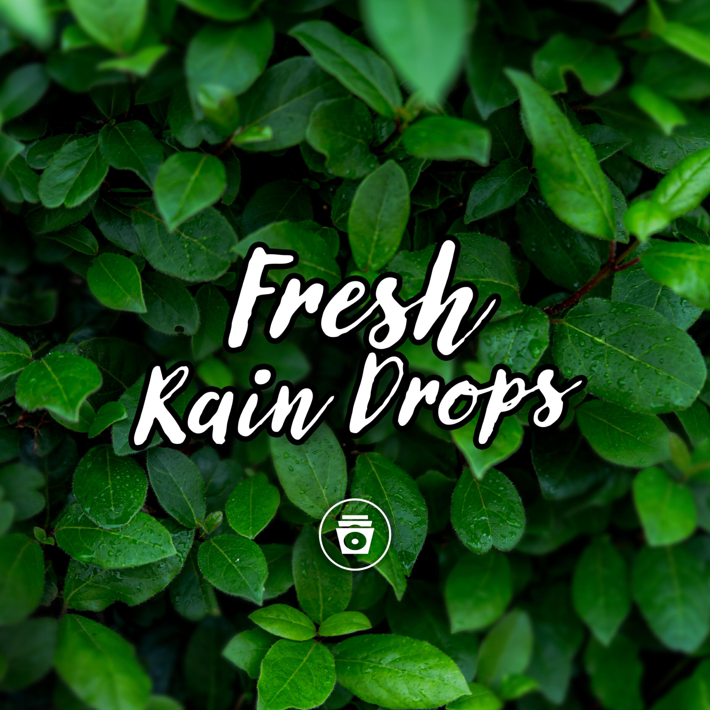Релиз Fresh Rain Drops