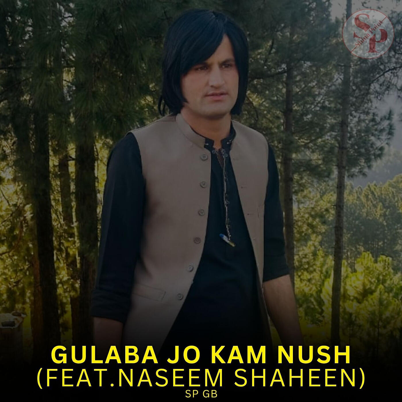 Naseem Shaheen