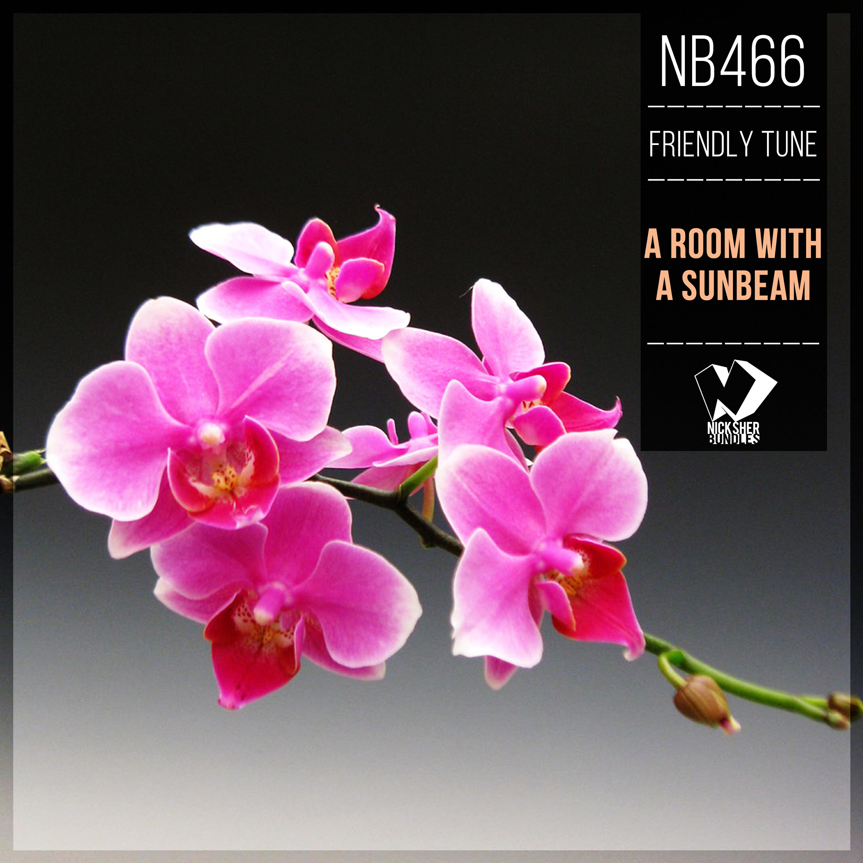 Релиз A Room with a Sunbeam
