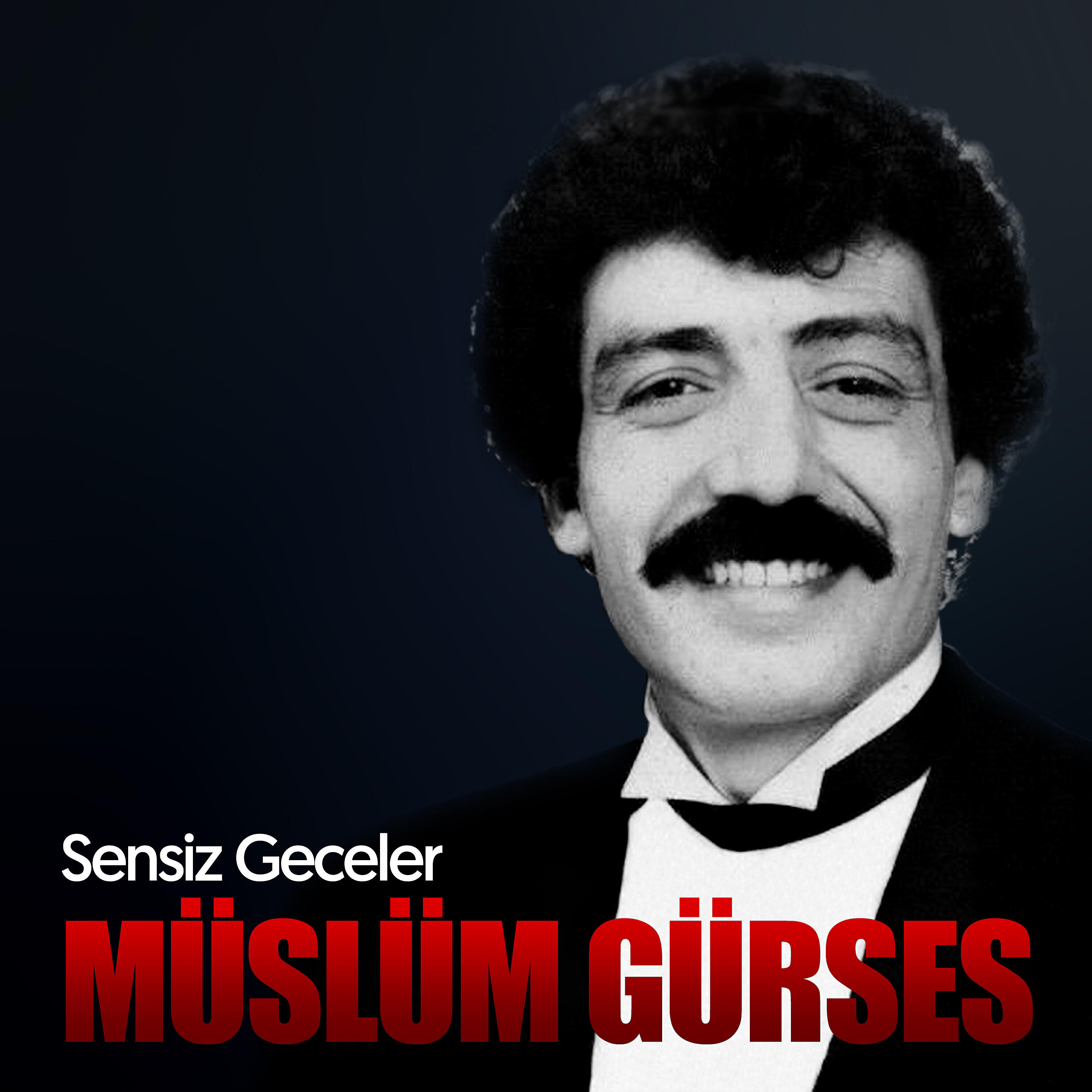 Постер альбома Sensiz Geceler