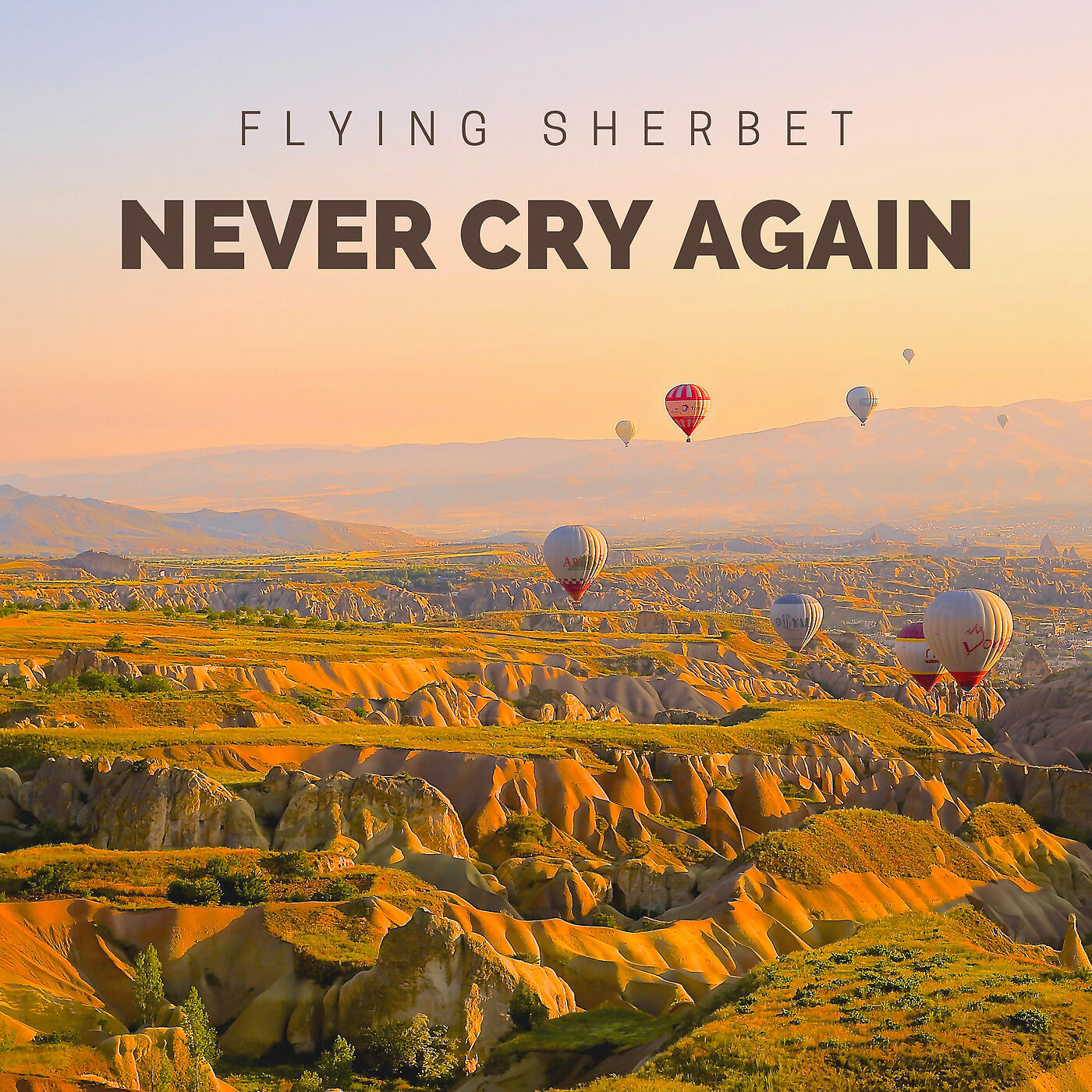Flying Sherbet