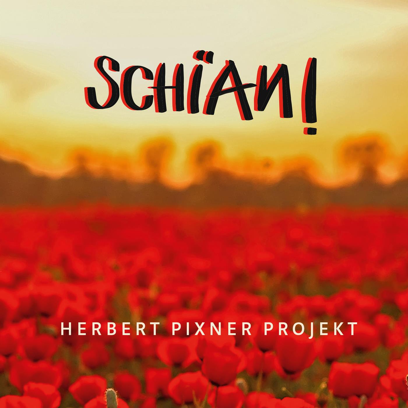 Релиз Schian!