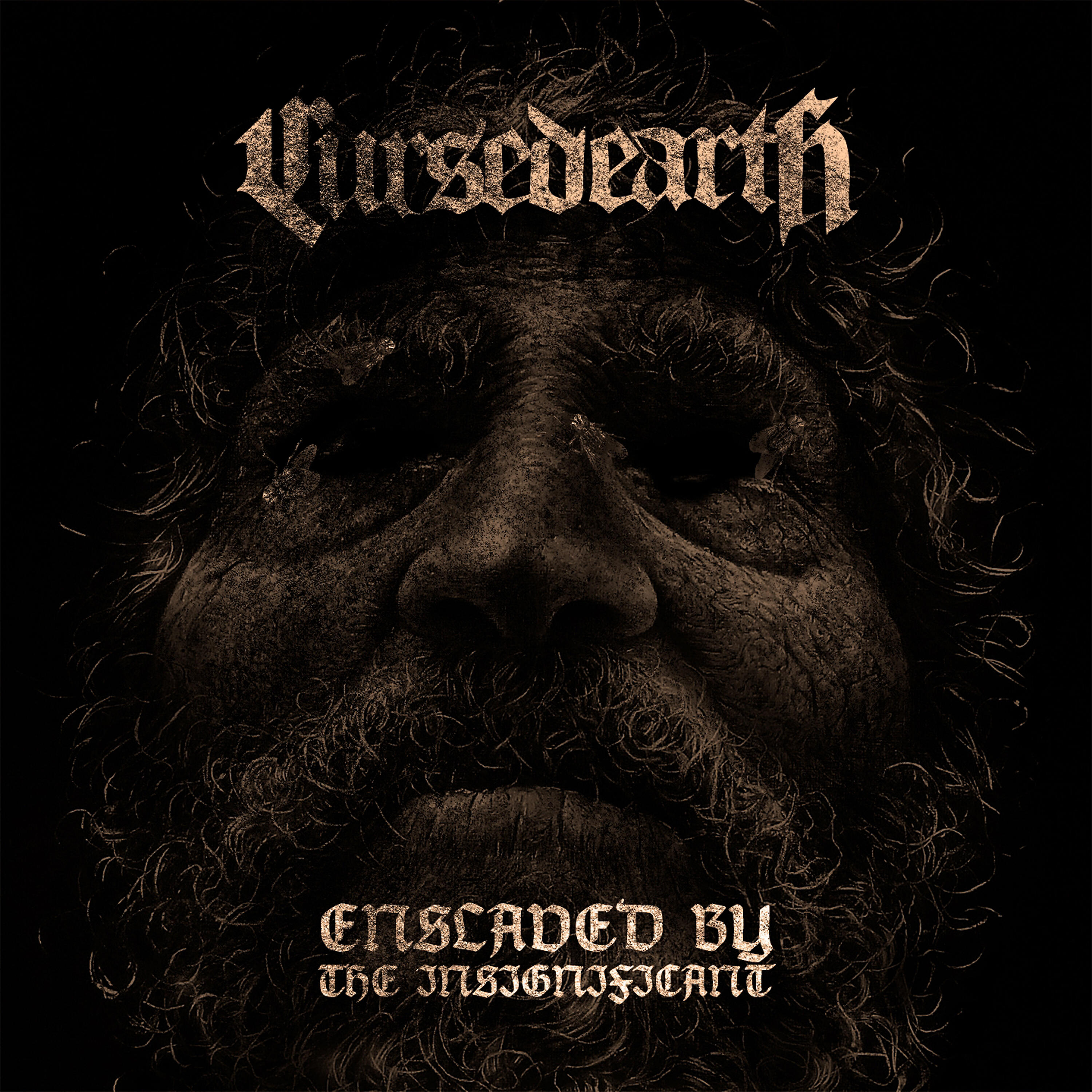 Релиз Enslaved by the Insignificant