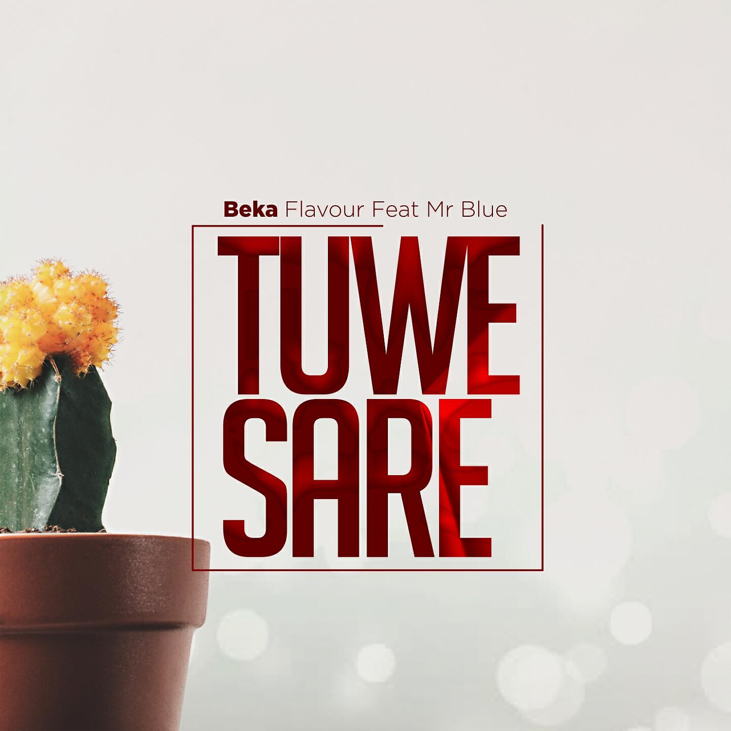Релиз Tuwe Sare