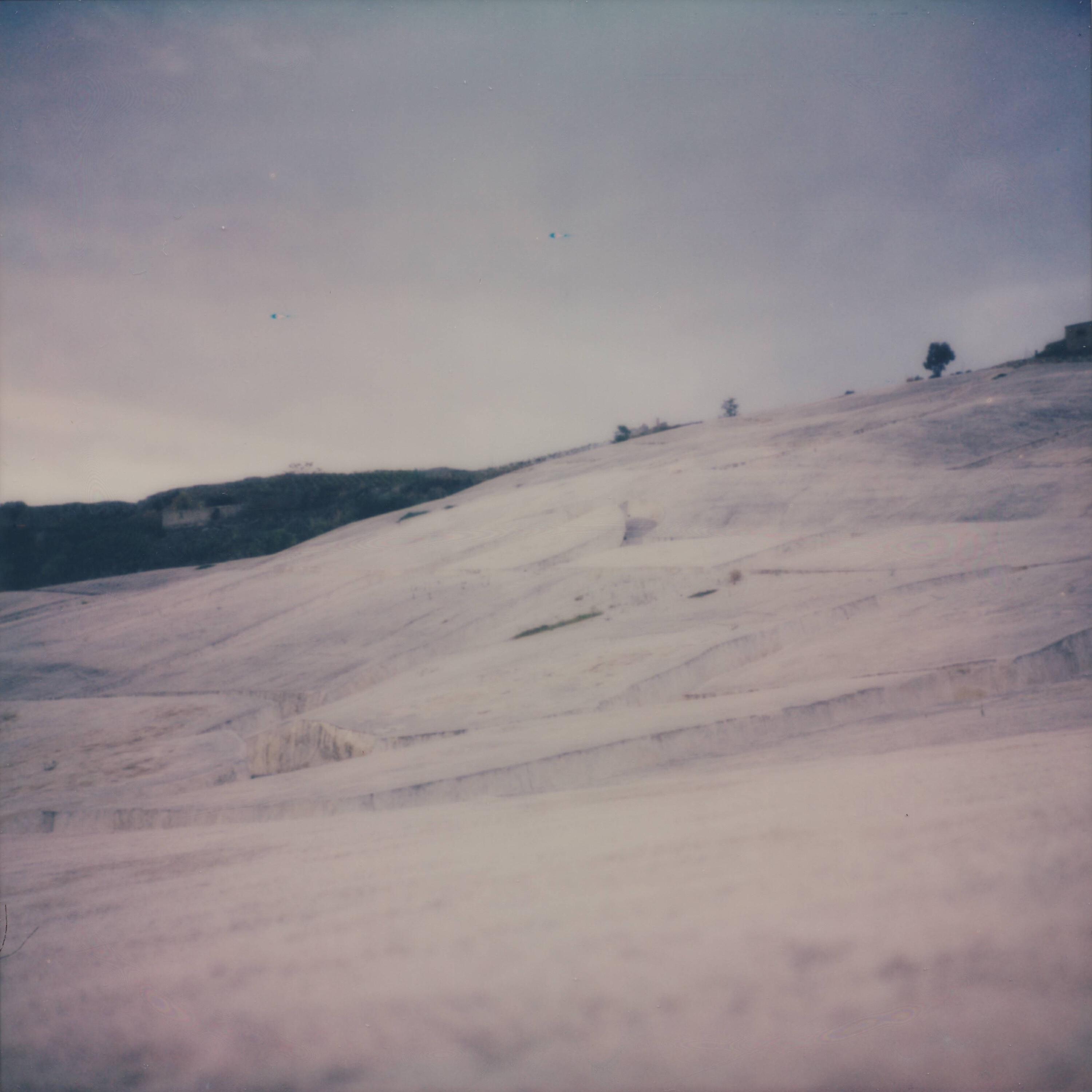 Fields We Found