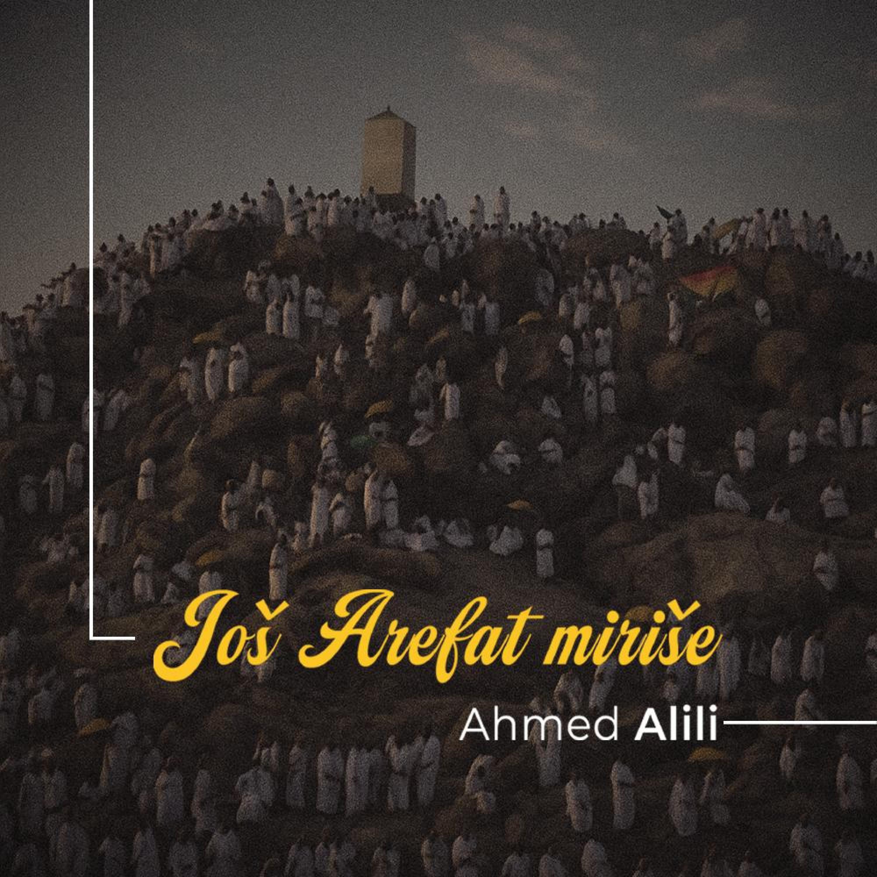 Ahmed Alili