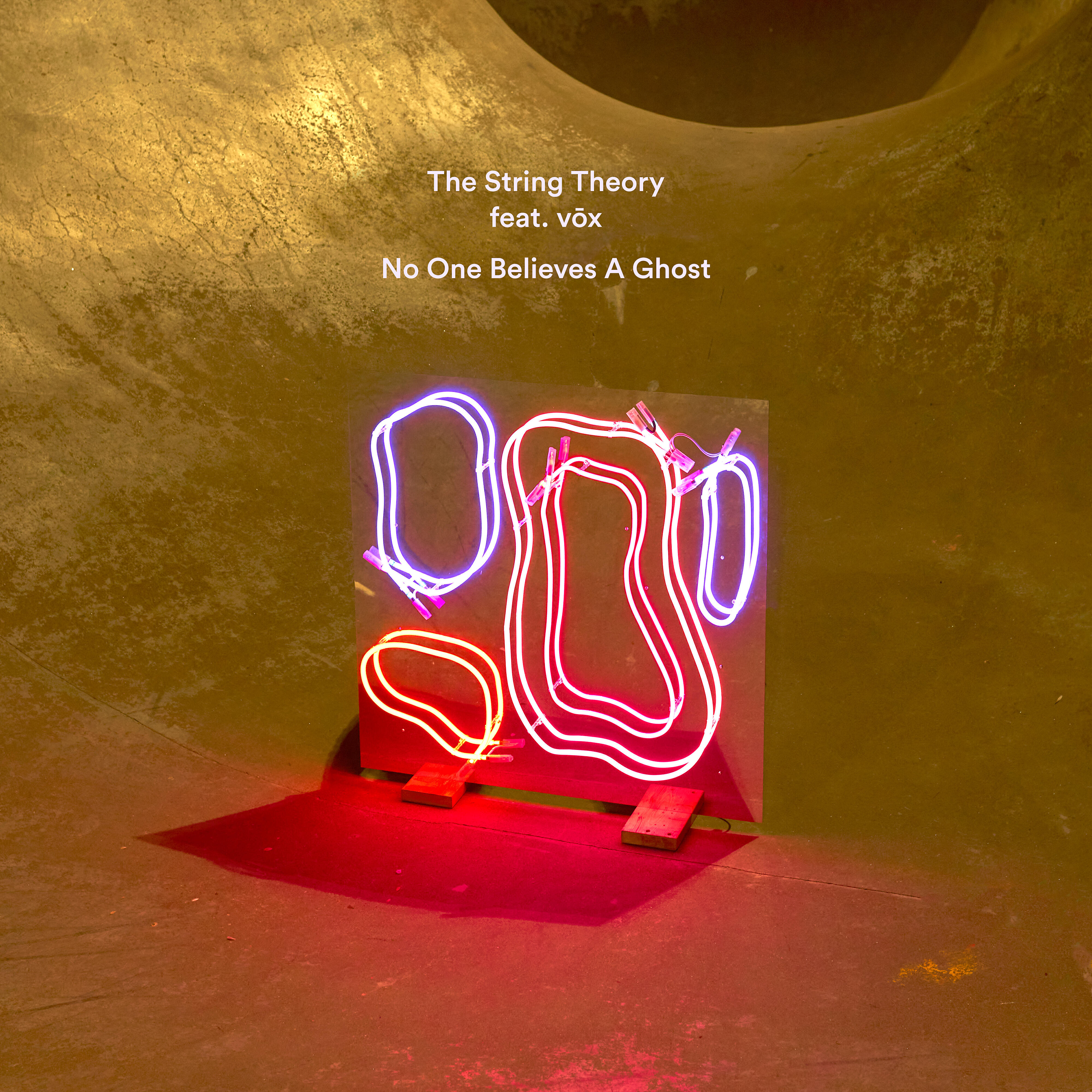 Релиз No One Believes A Ghost (feat. vōx)