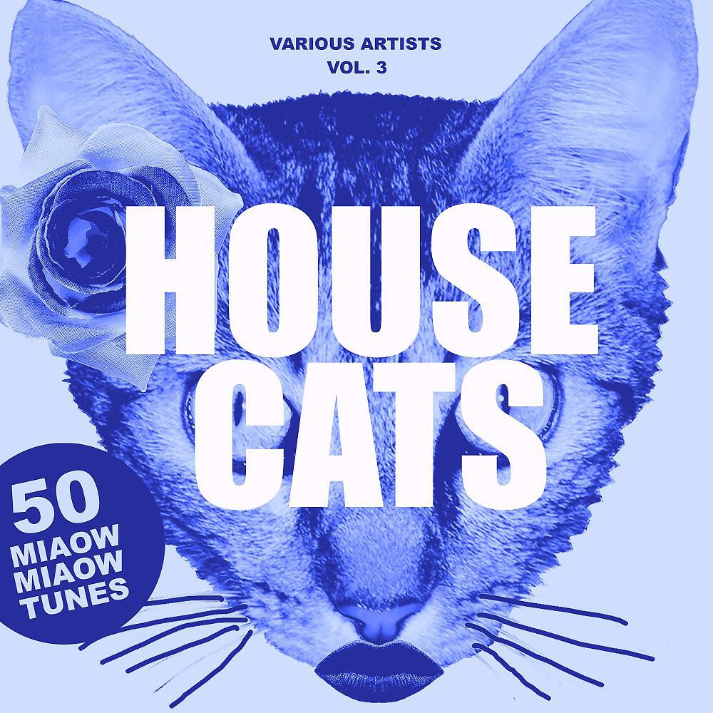 Релиз House Cats, Vol. 3 (50 Miaow Miaow Tunes)
