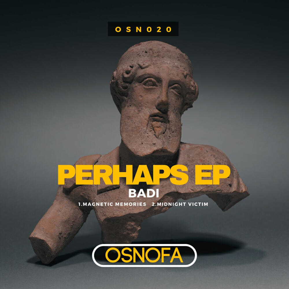 Релиз Perhaps EP