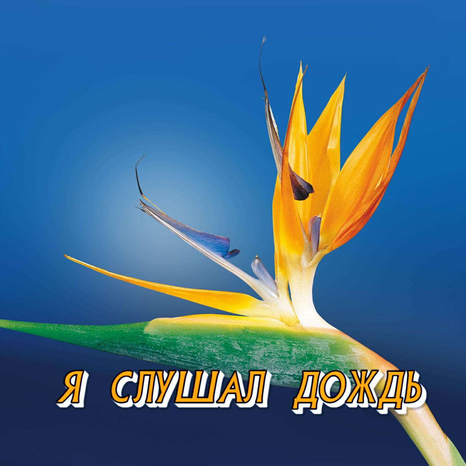 Релиз Я СЛУШАЛ ДОЖДЬ