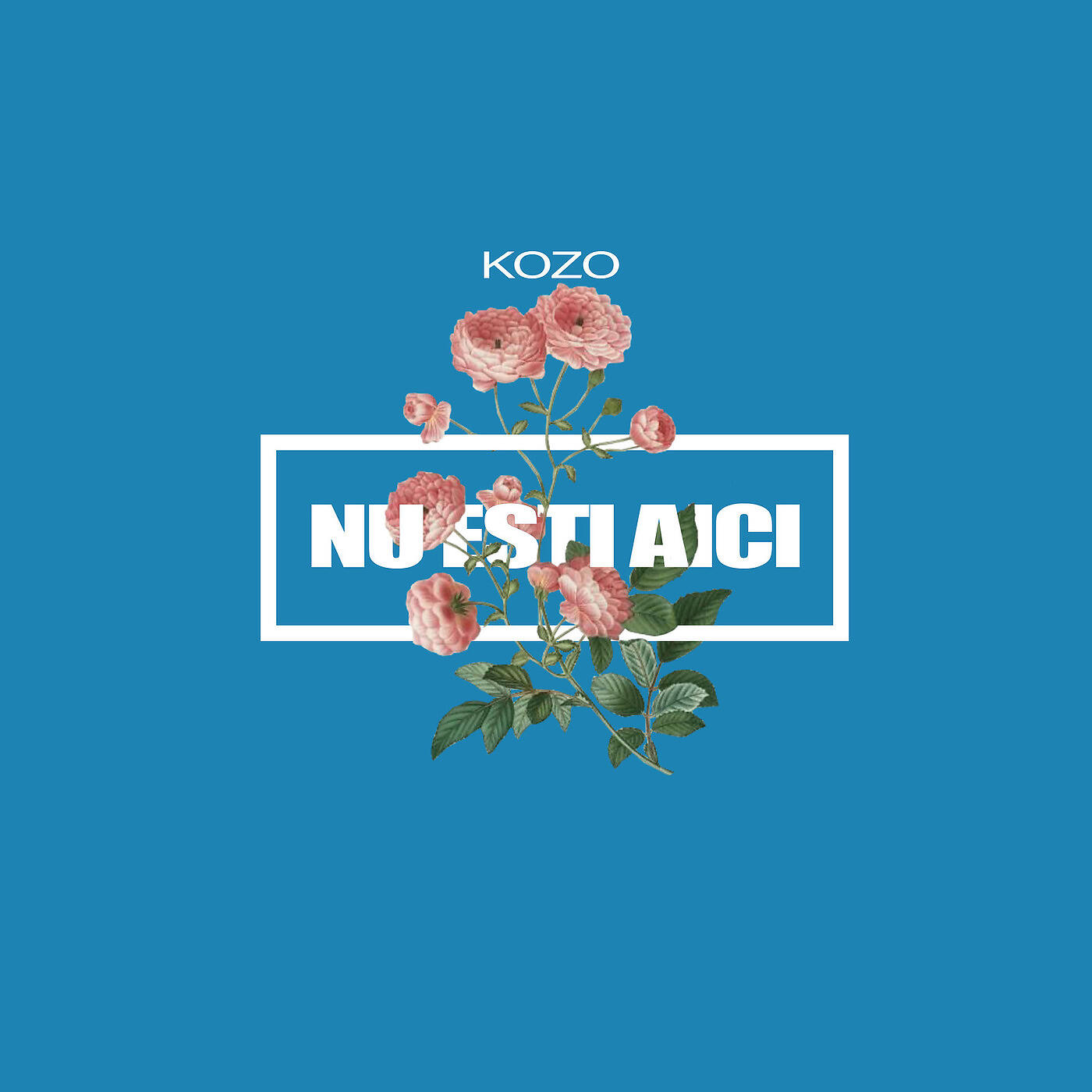 Релиз Nu Esti Aici