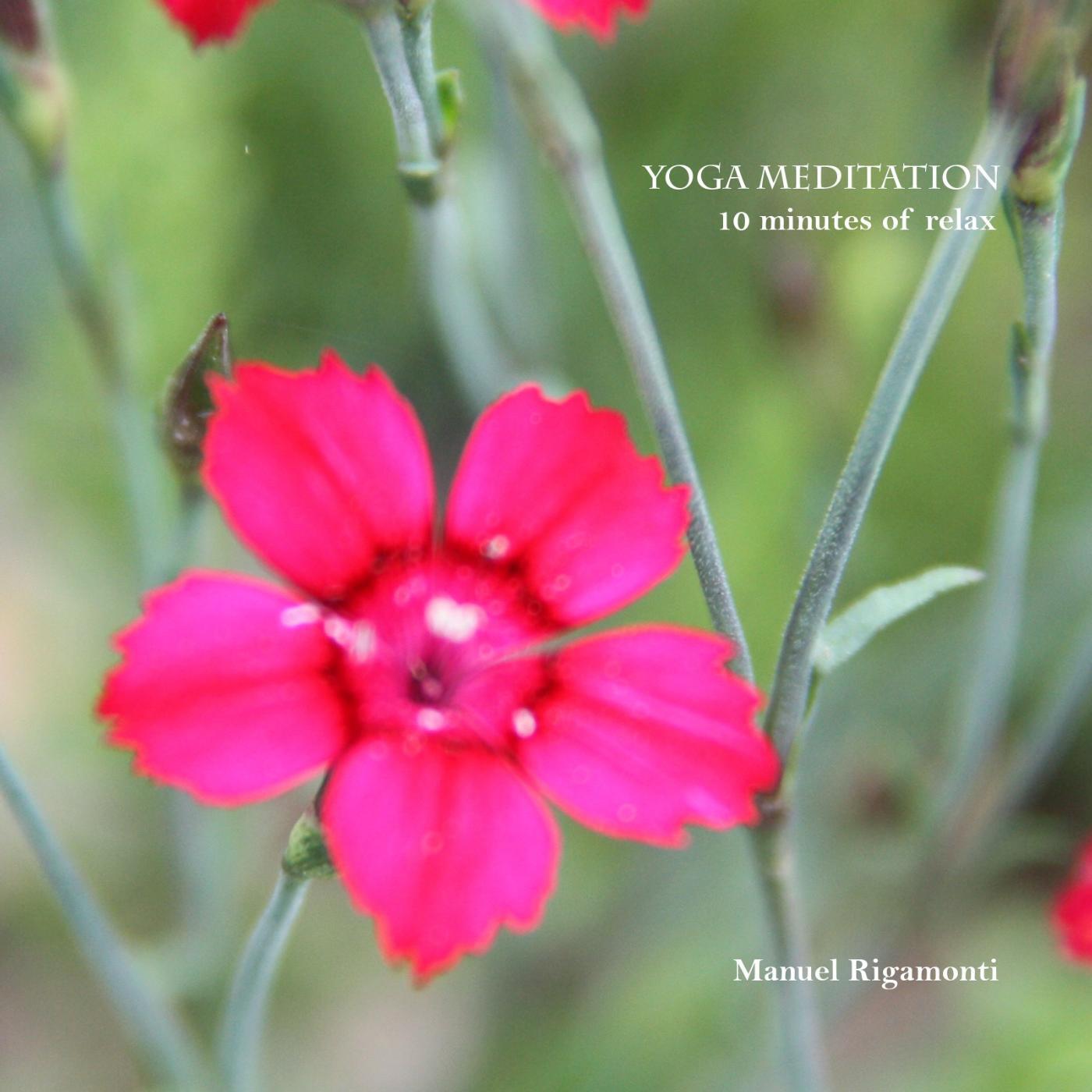 Релиз Yoga Meditation