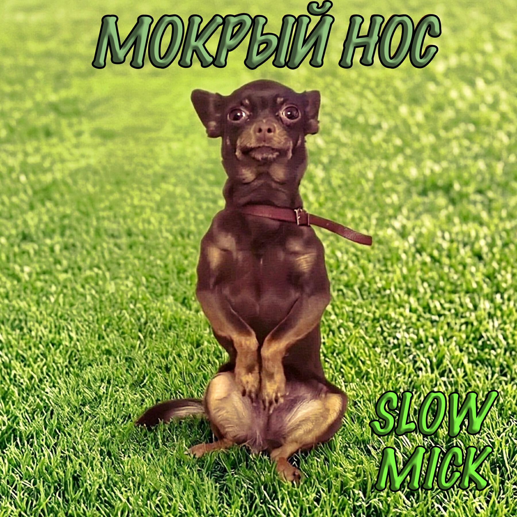Релиз МОКРЫЙ НОС