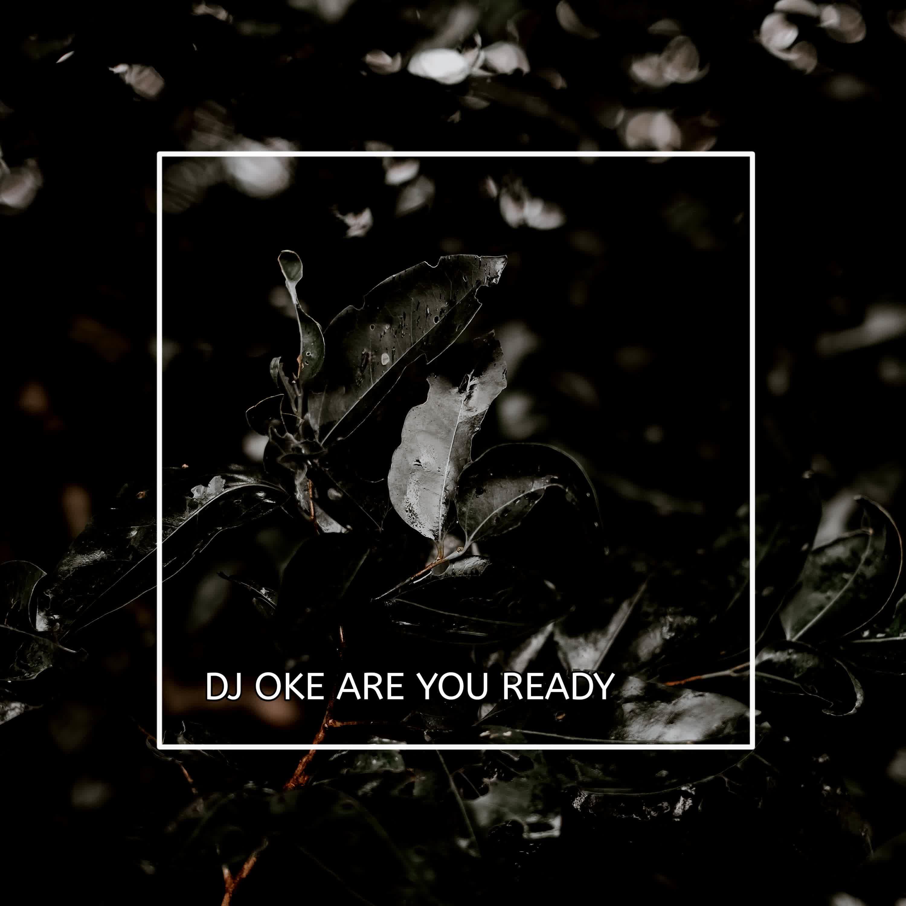 Релиз DJ Oke Are You Ready Wak Ee
