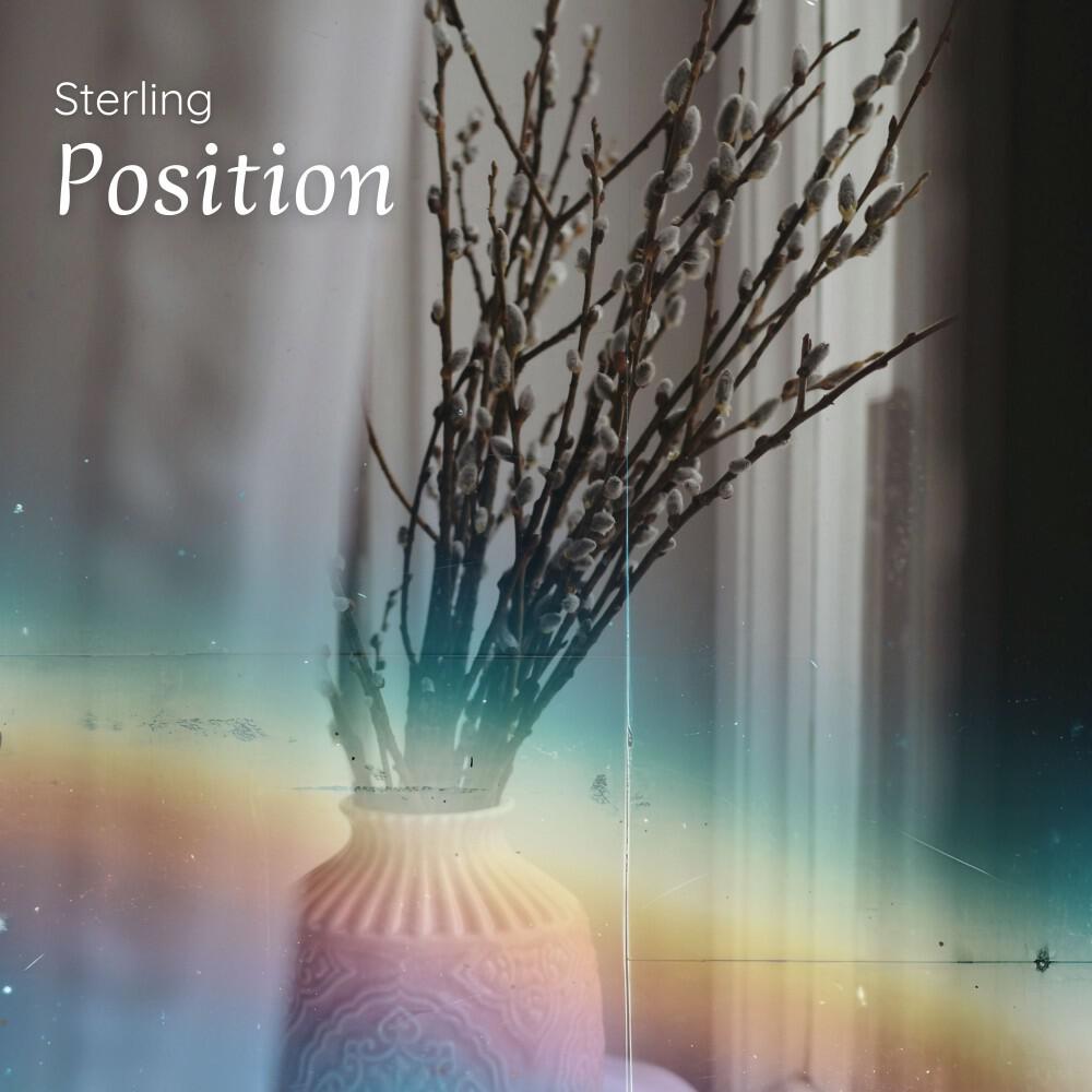 Релиз Position