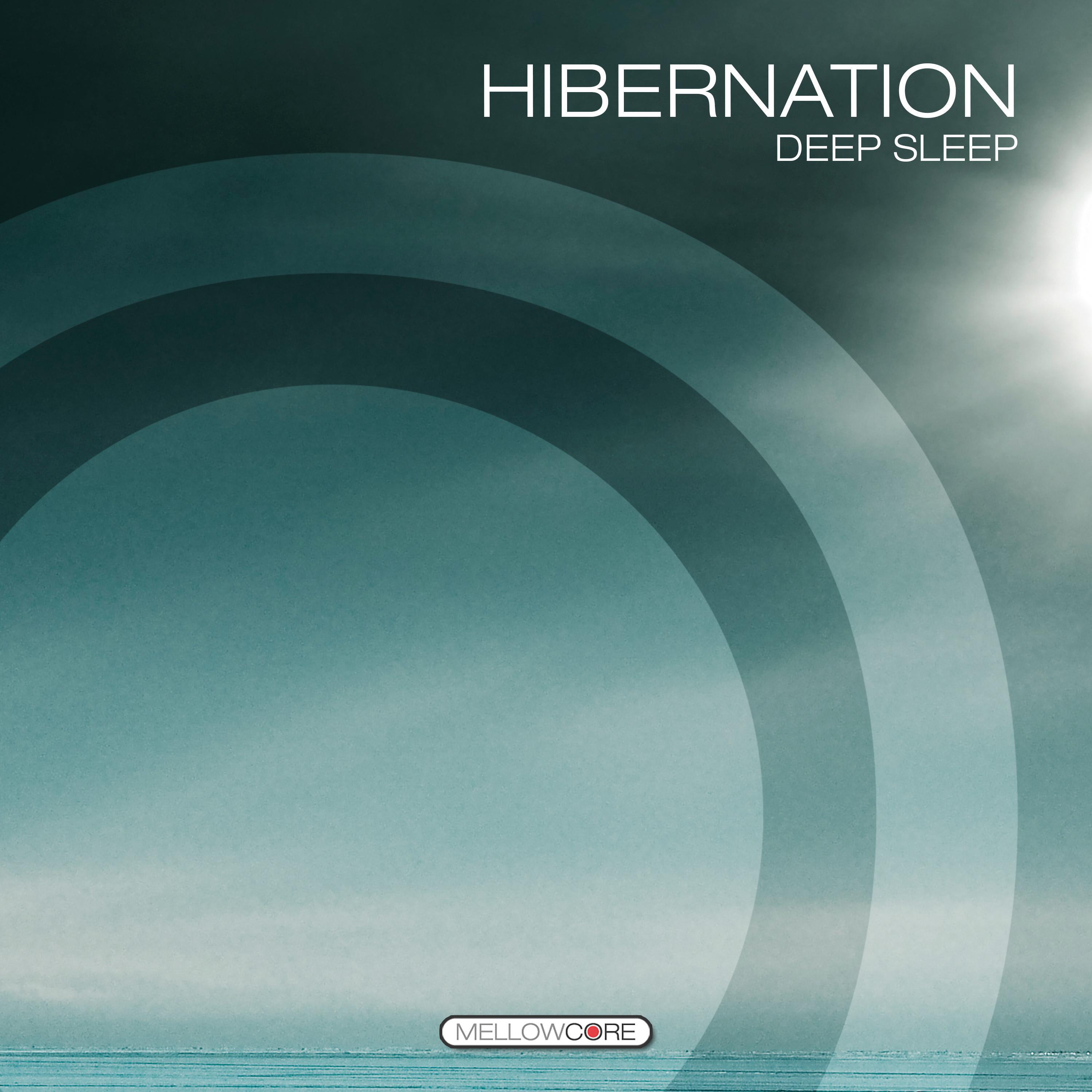 Релиз Hibernation
