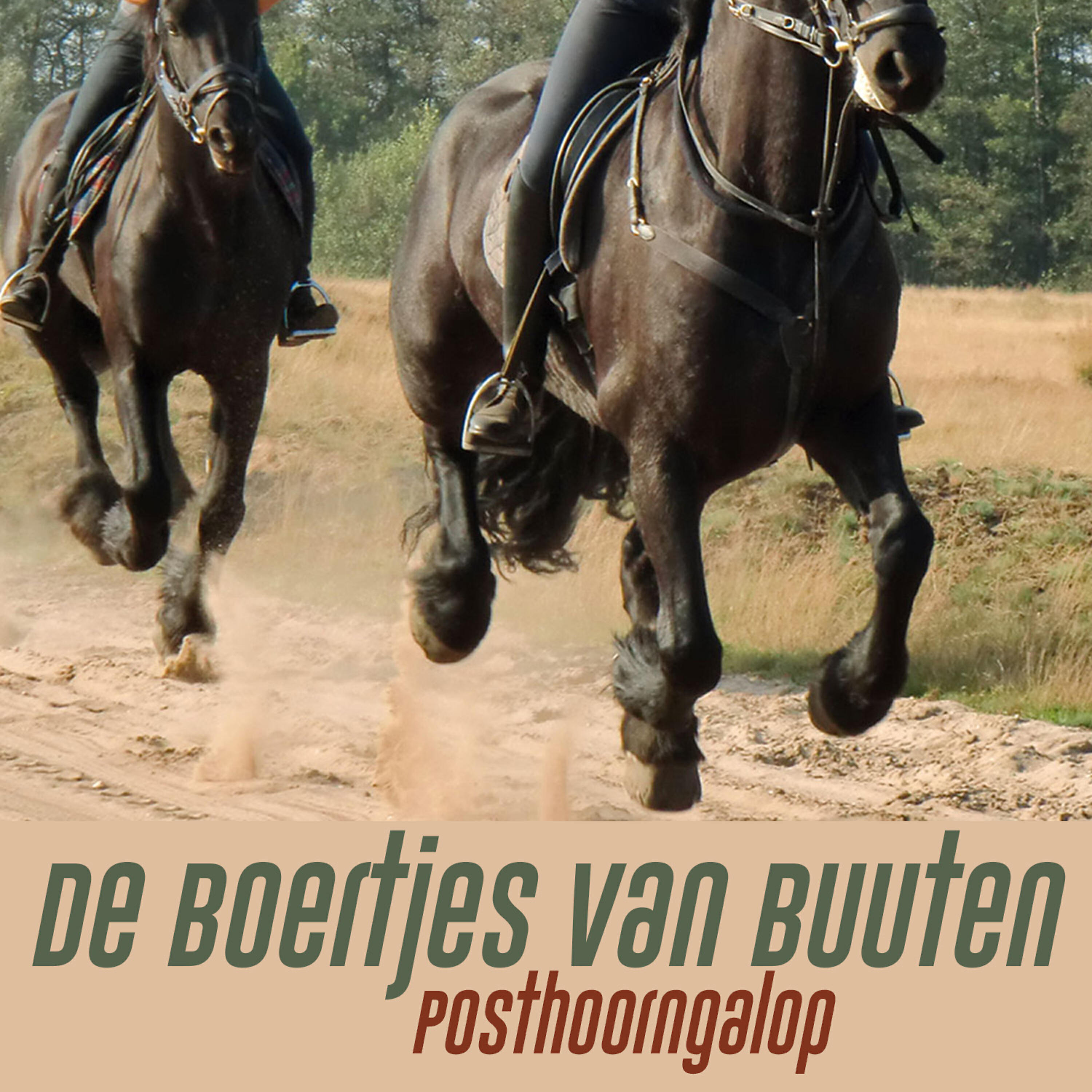 Релиз Posthoorngalop
