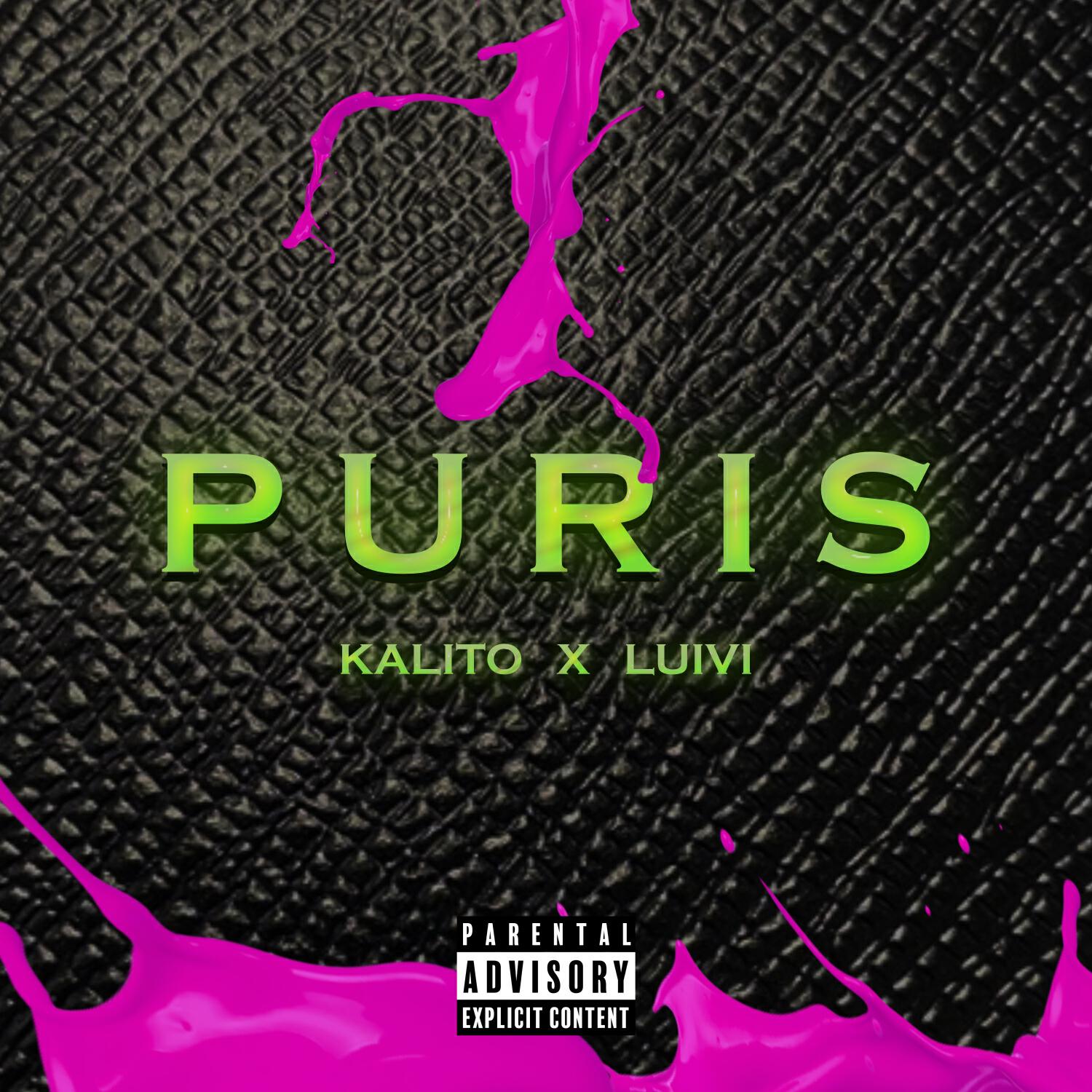 Релиз Puris