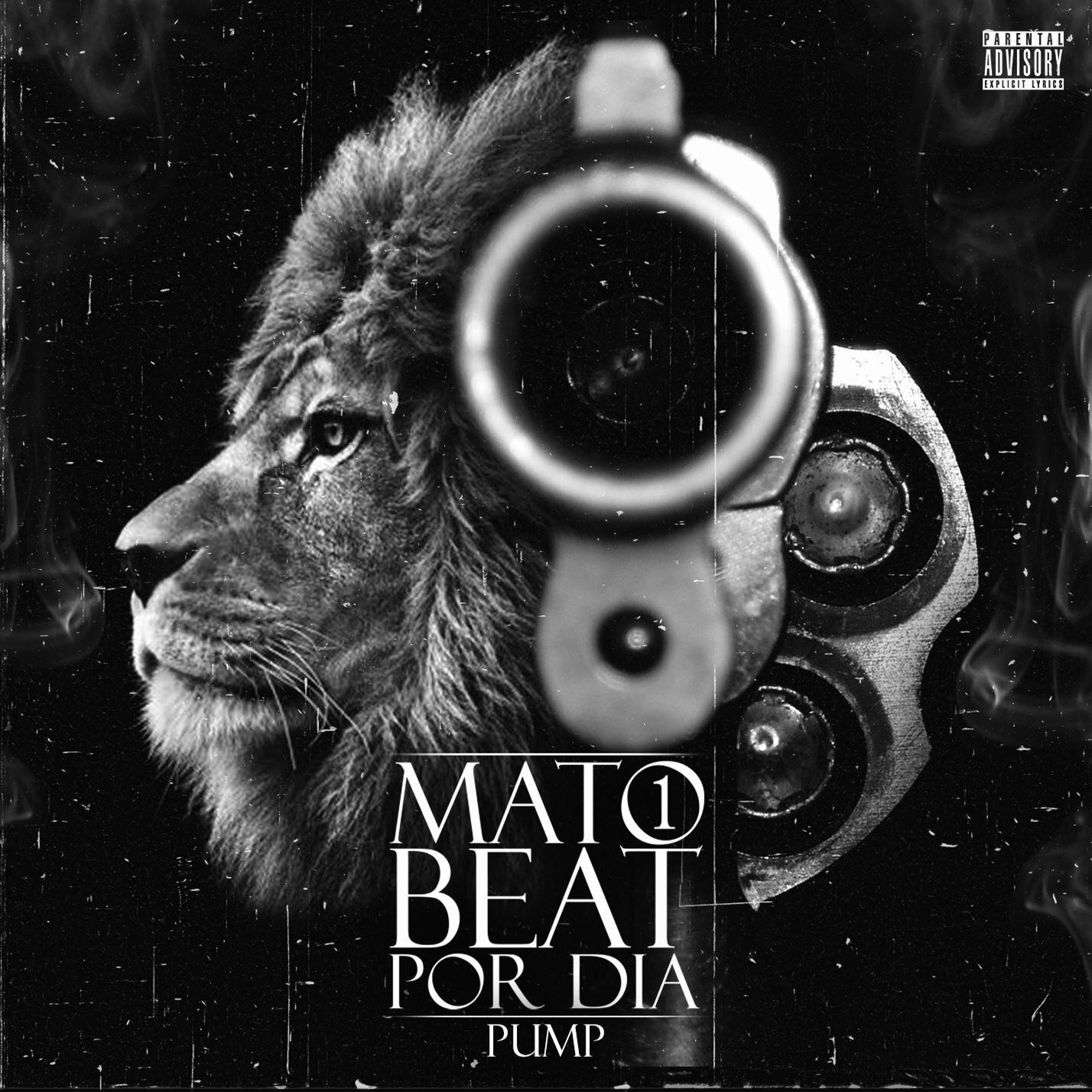 Релиз Mato 1 Beat por Dia