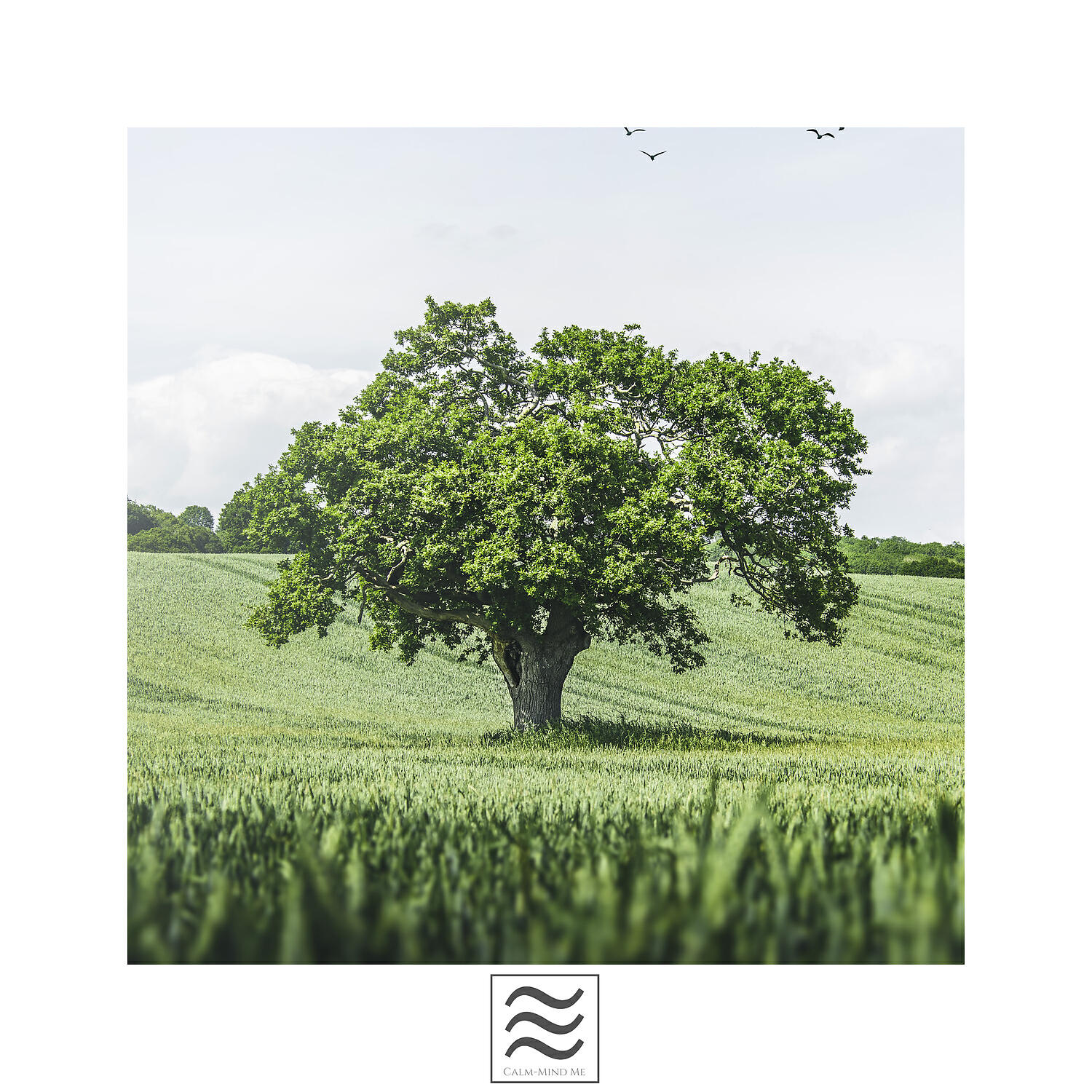 Релиз Humble Smooth Bowls Calm Sounds
