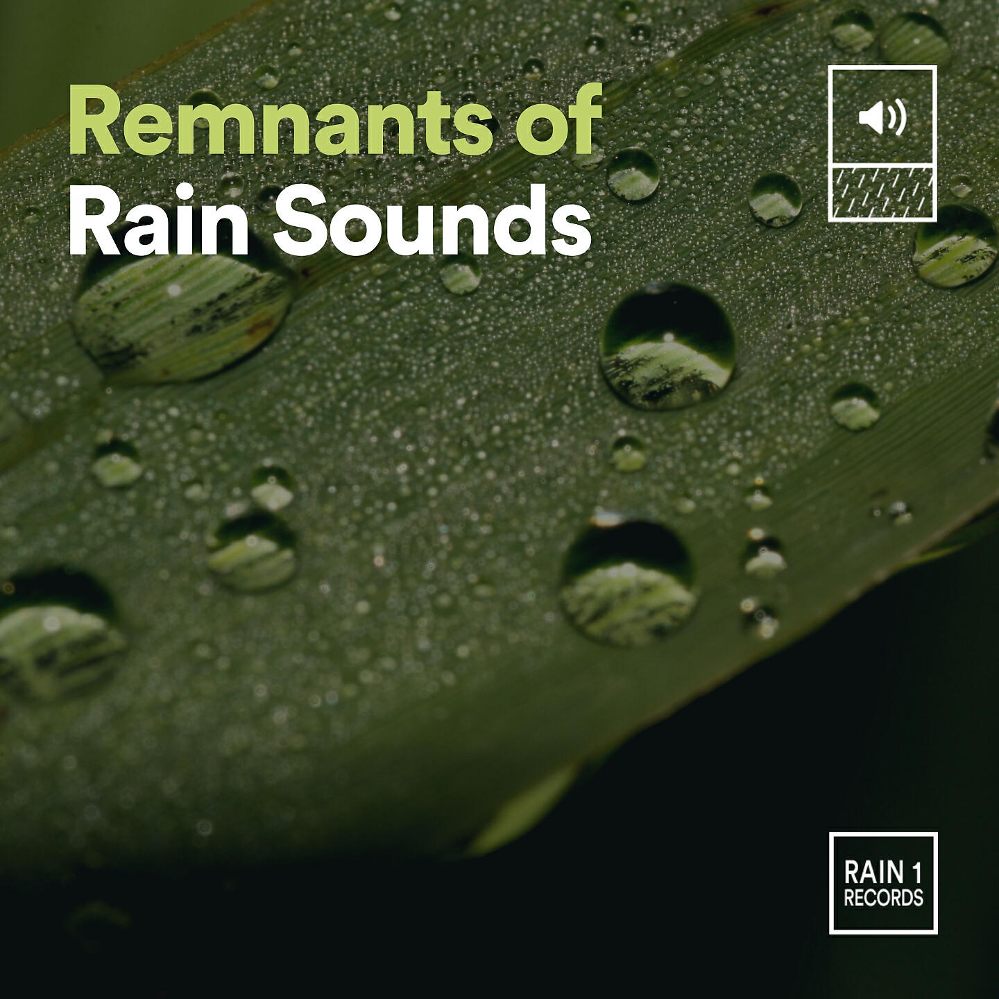 Релиз Remnants of Rain Sounds