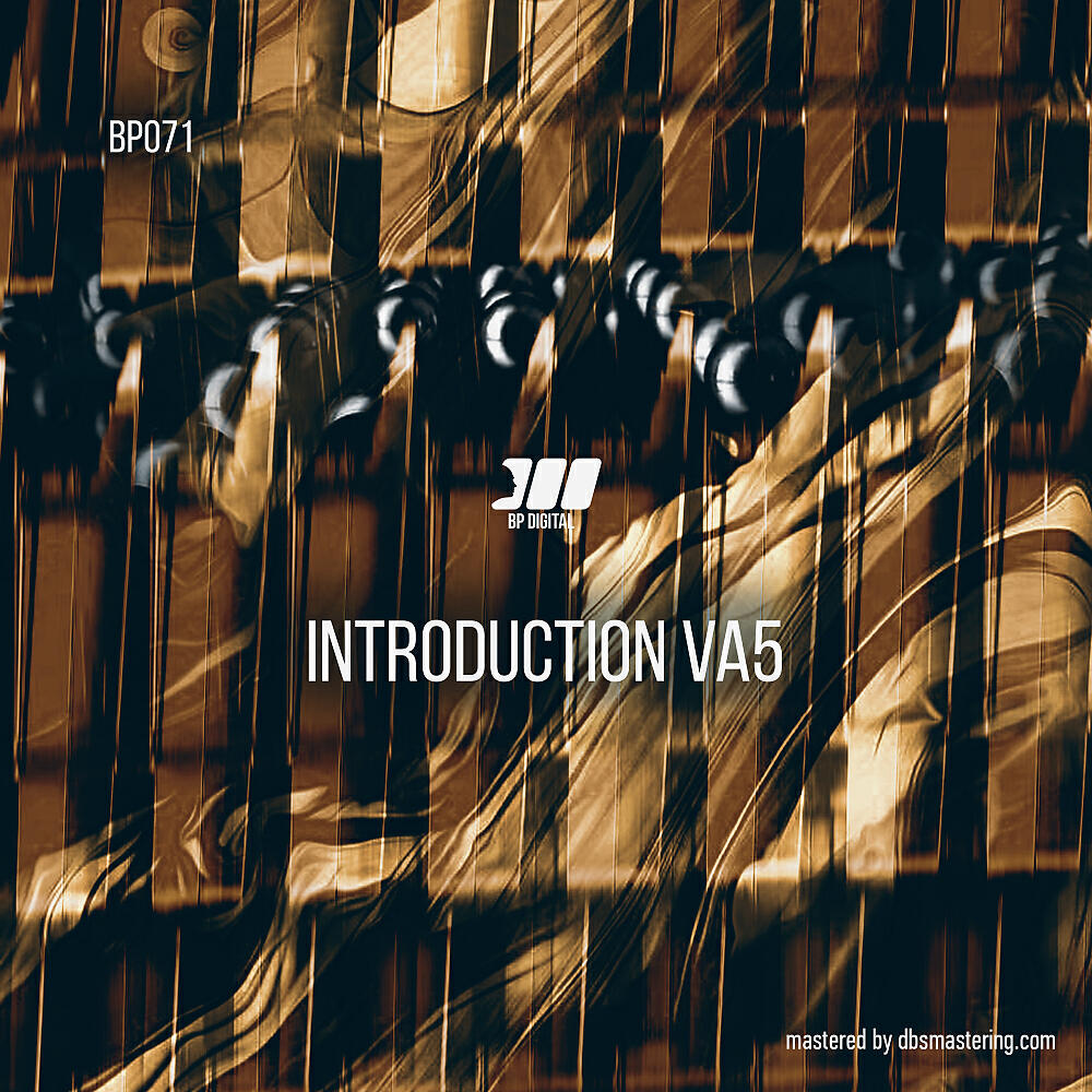 Постер альбома Introduction VA#5