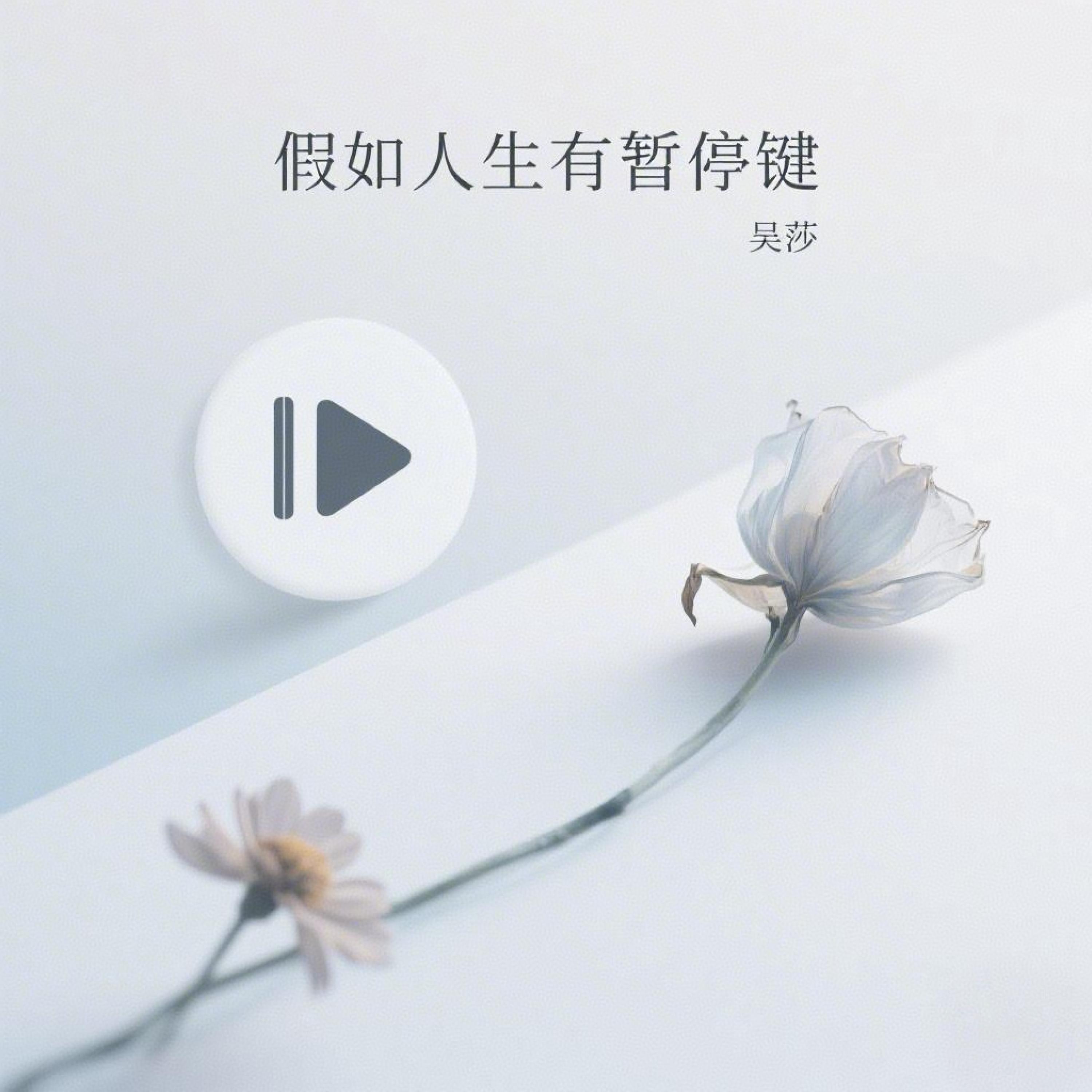 Релиз 假如人生有暂停键