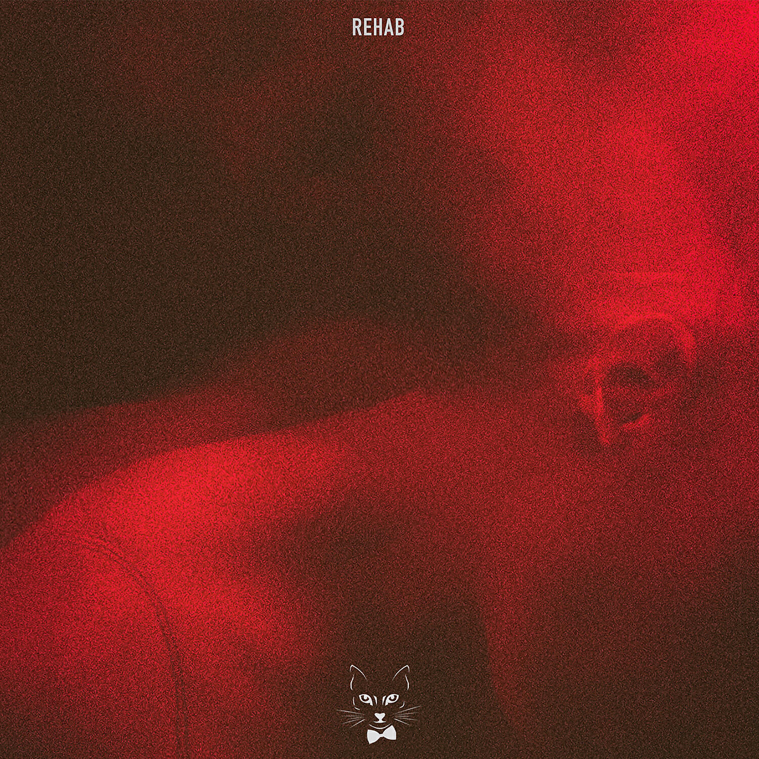 Релиз Rehab