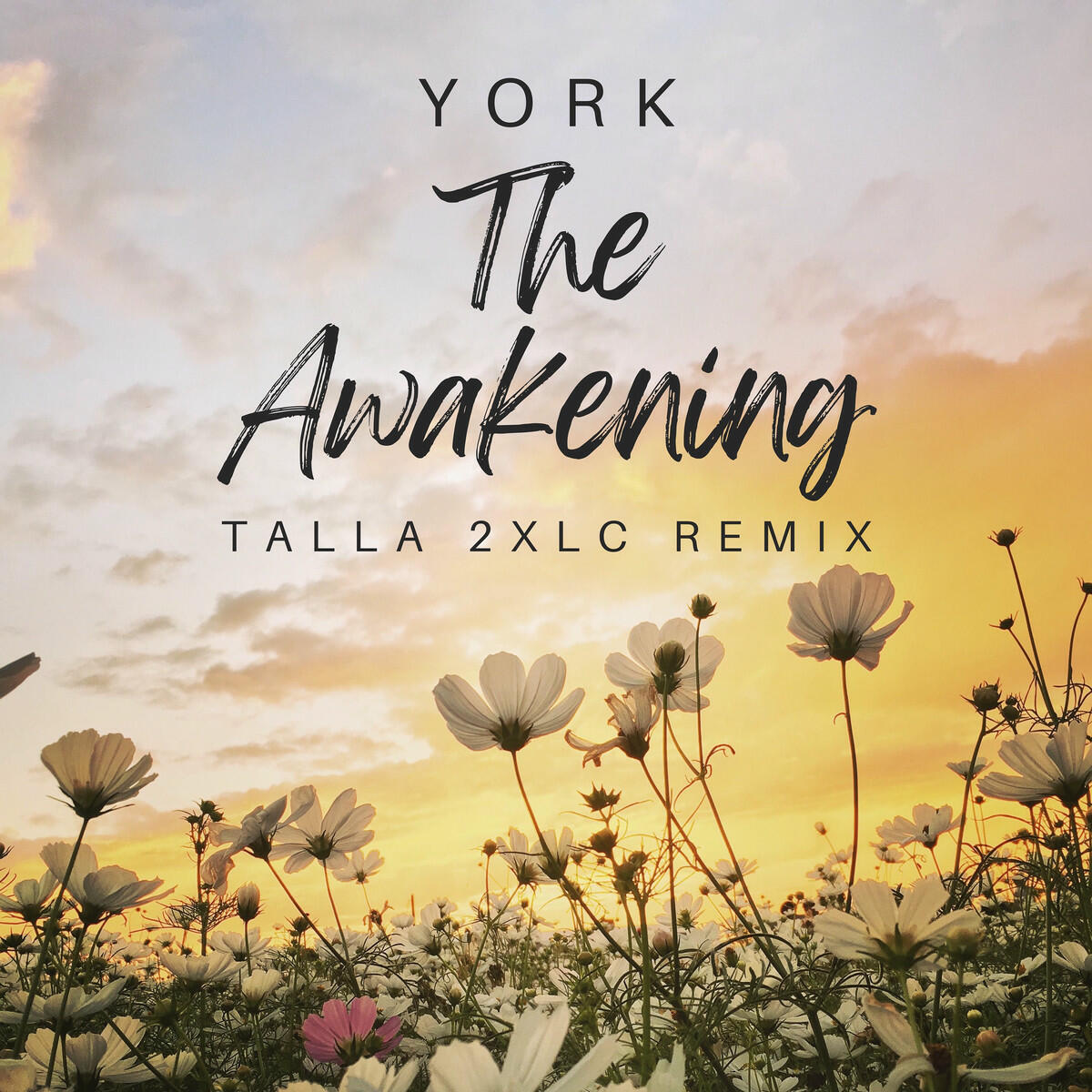 Постер альбома The Awakening (Talla 2XLC Remix)