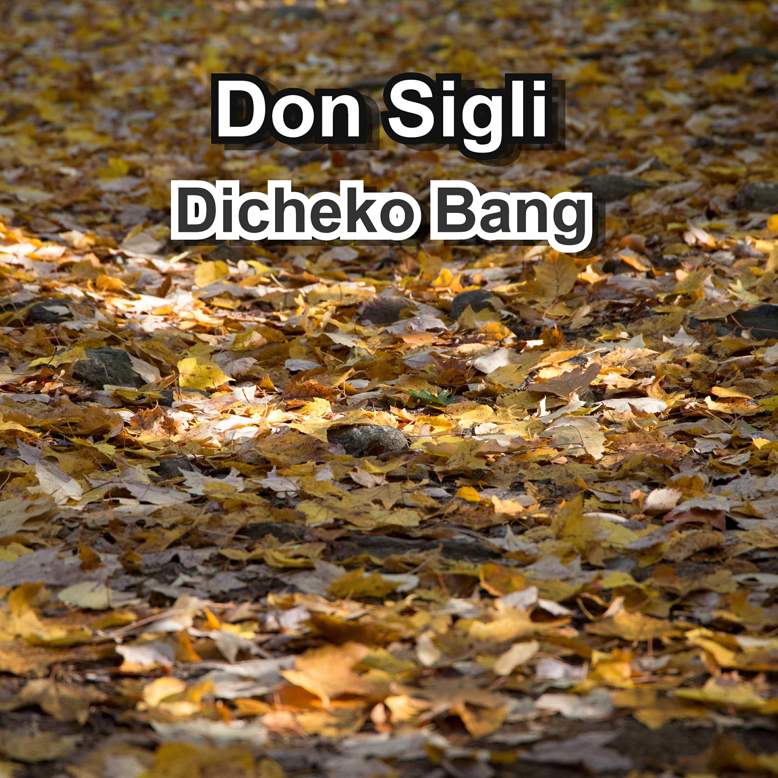 Релиз Dicheko Bang