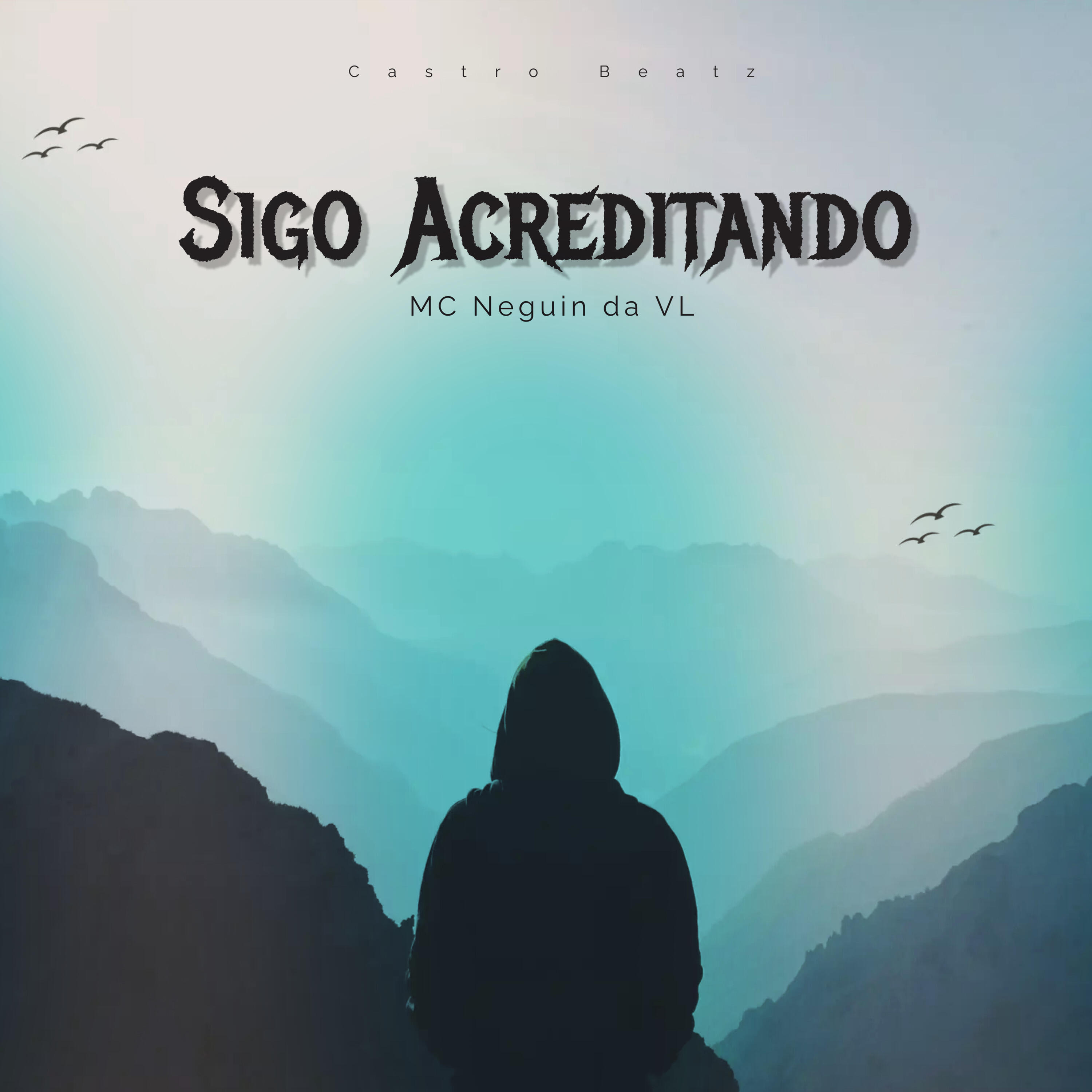 Скачать песню Mc Neguin da VL, Castro Beatz - Sigo Acreditando бесплатно в MP3 для Android и iOS