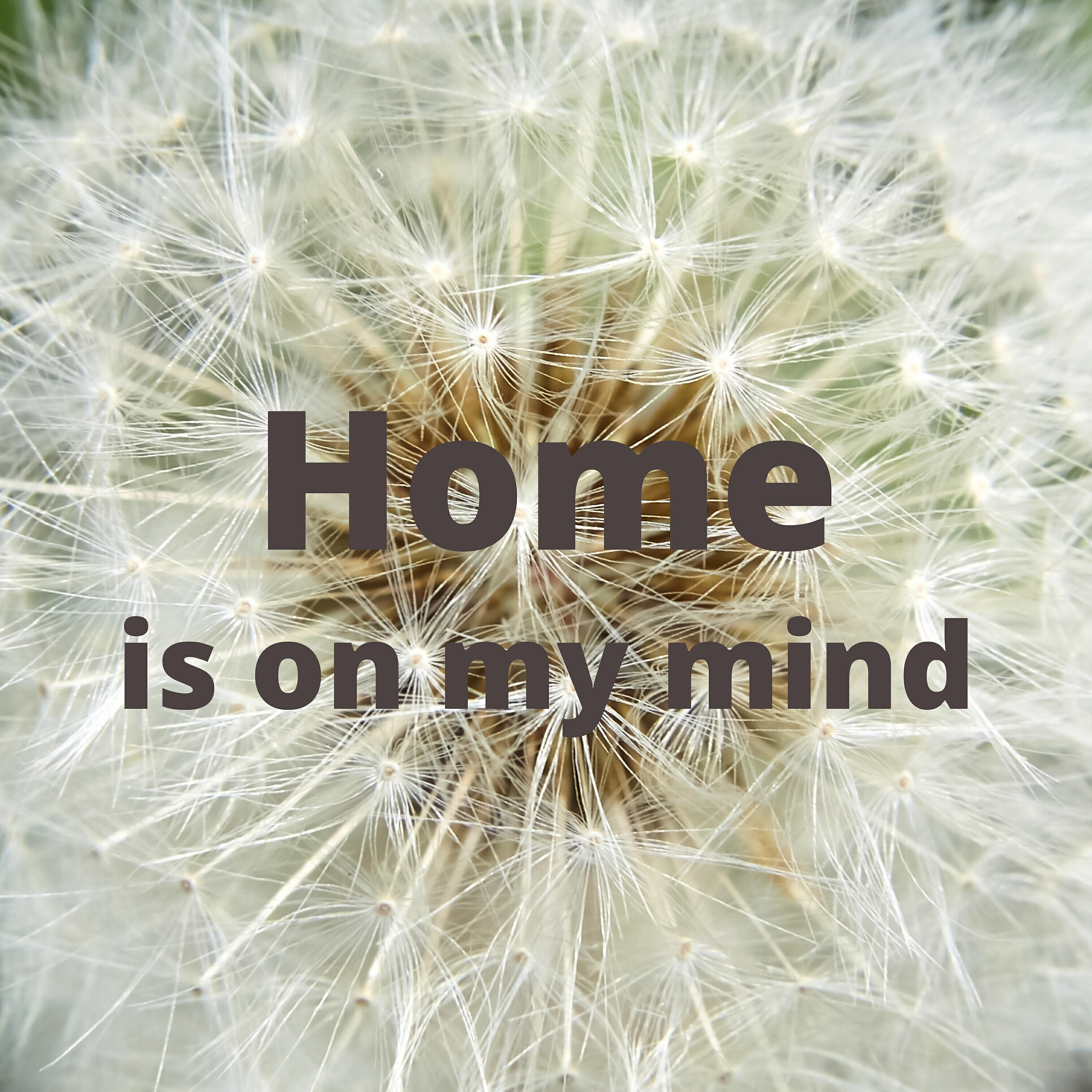 Релиз Home is on my Mind