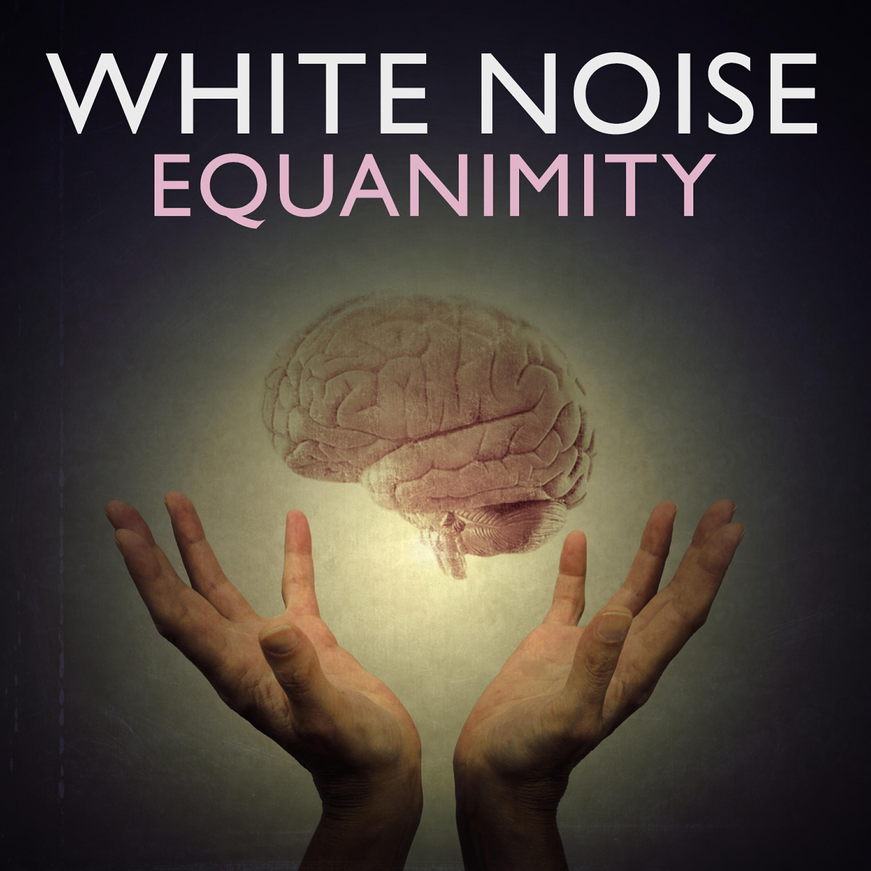 Релиз White Noise: Equanimity