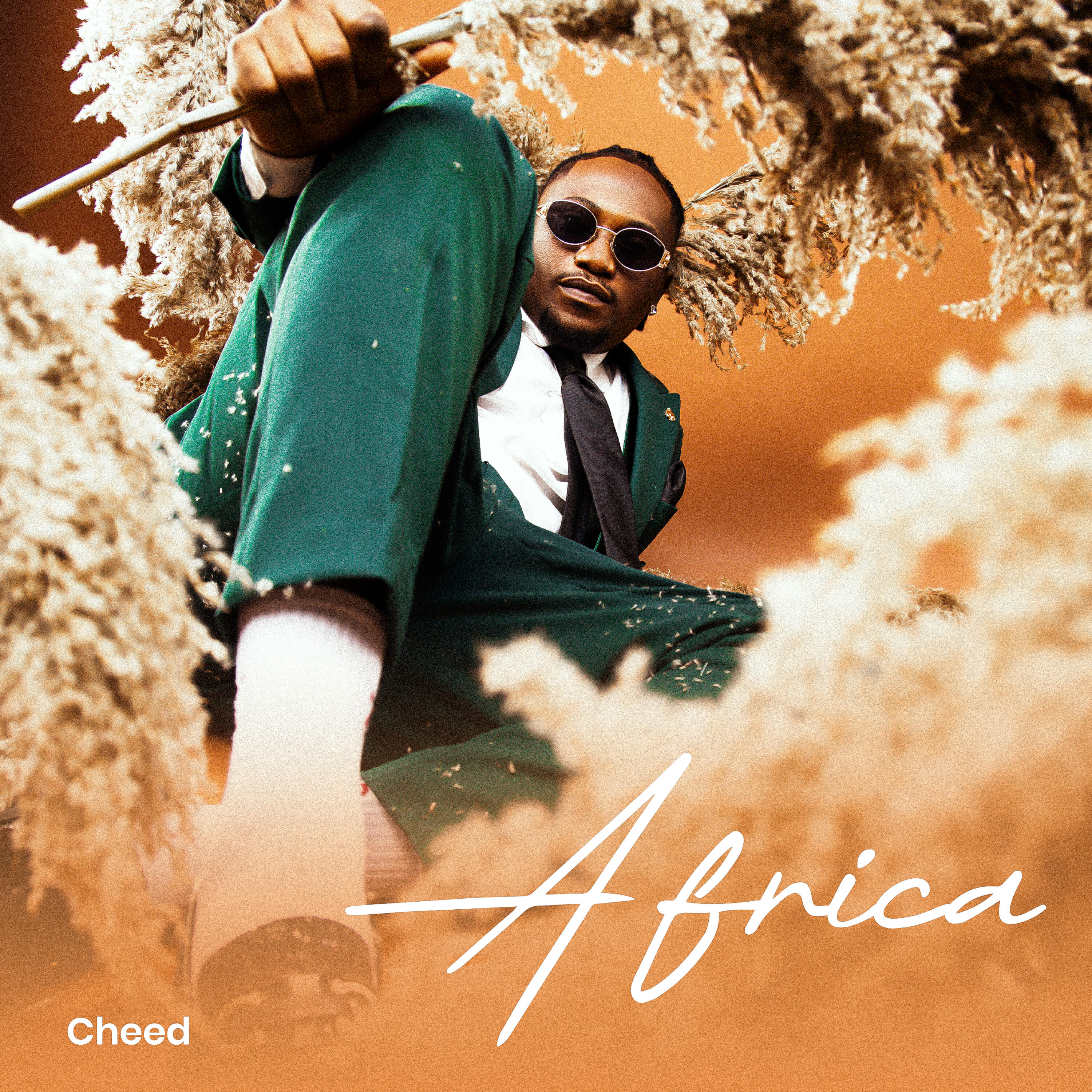 Релиз Africa