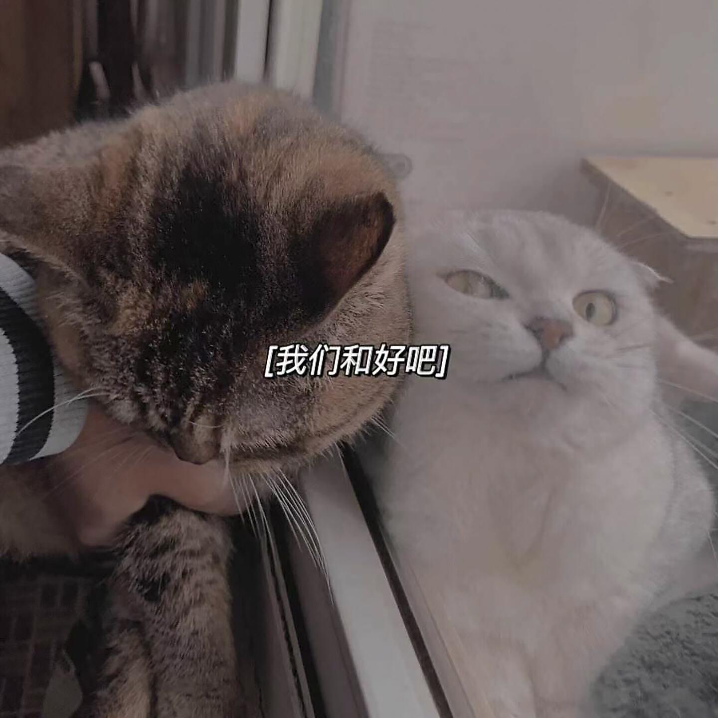 Релиз 我们和好吧