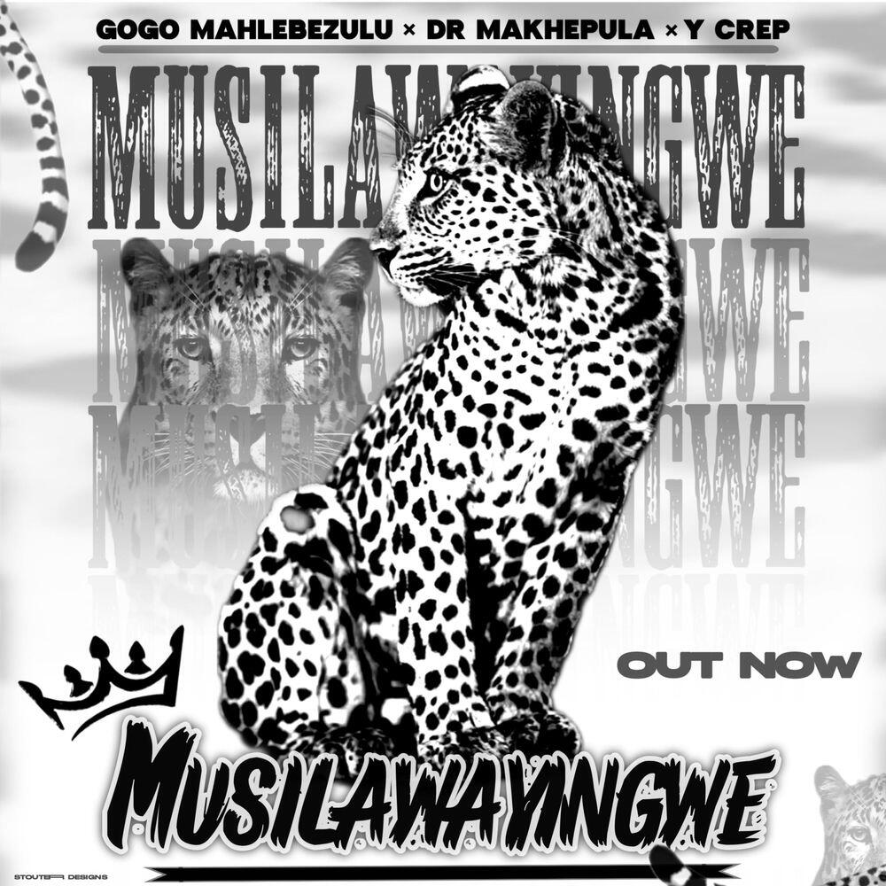 Dr Makhepula