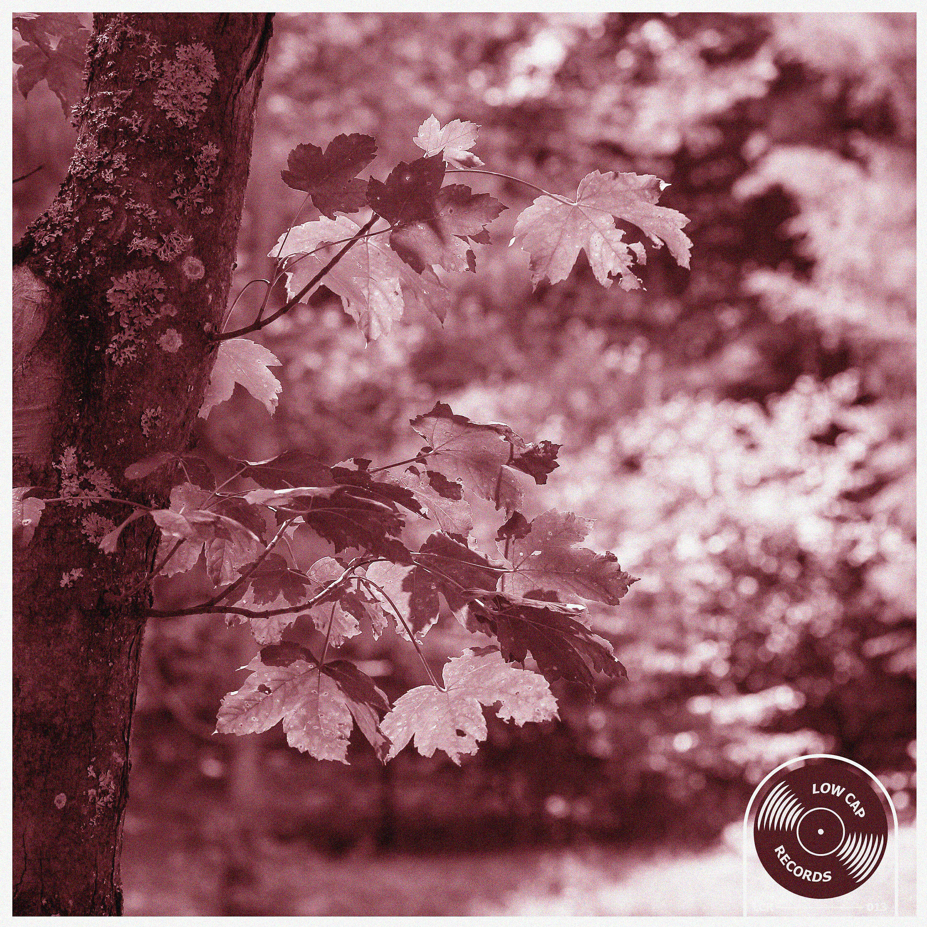 Релиз Mid Fall