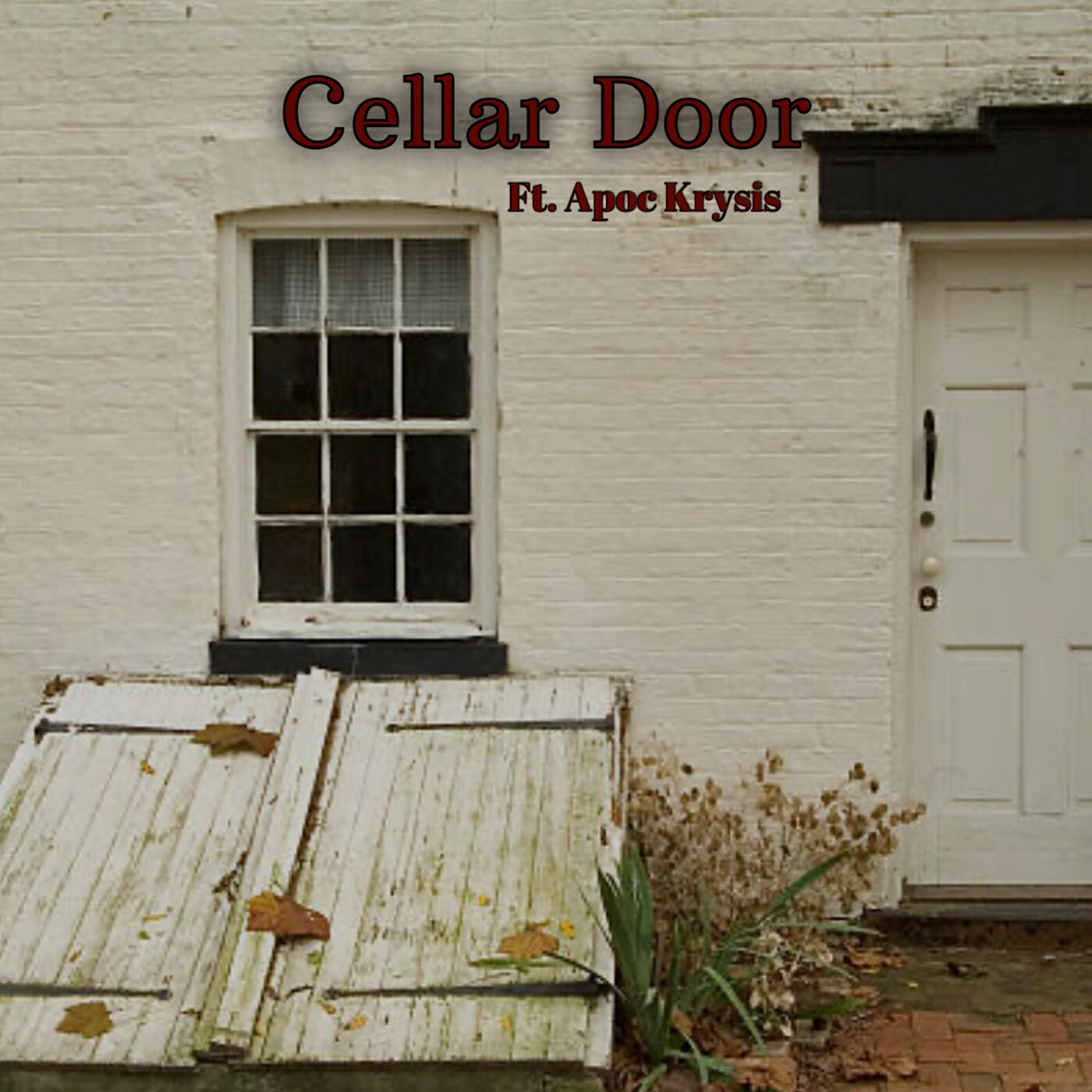 Релиз Cellar Door