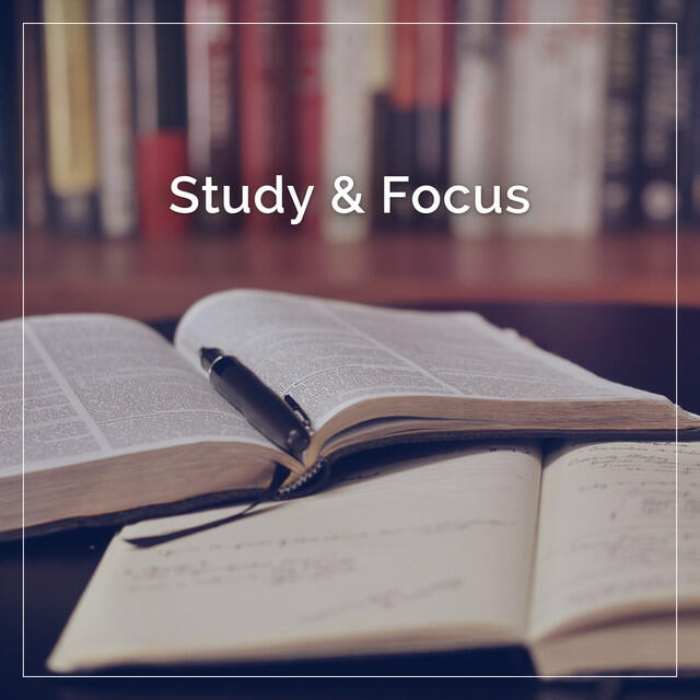 Релиз Study & Focus
