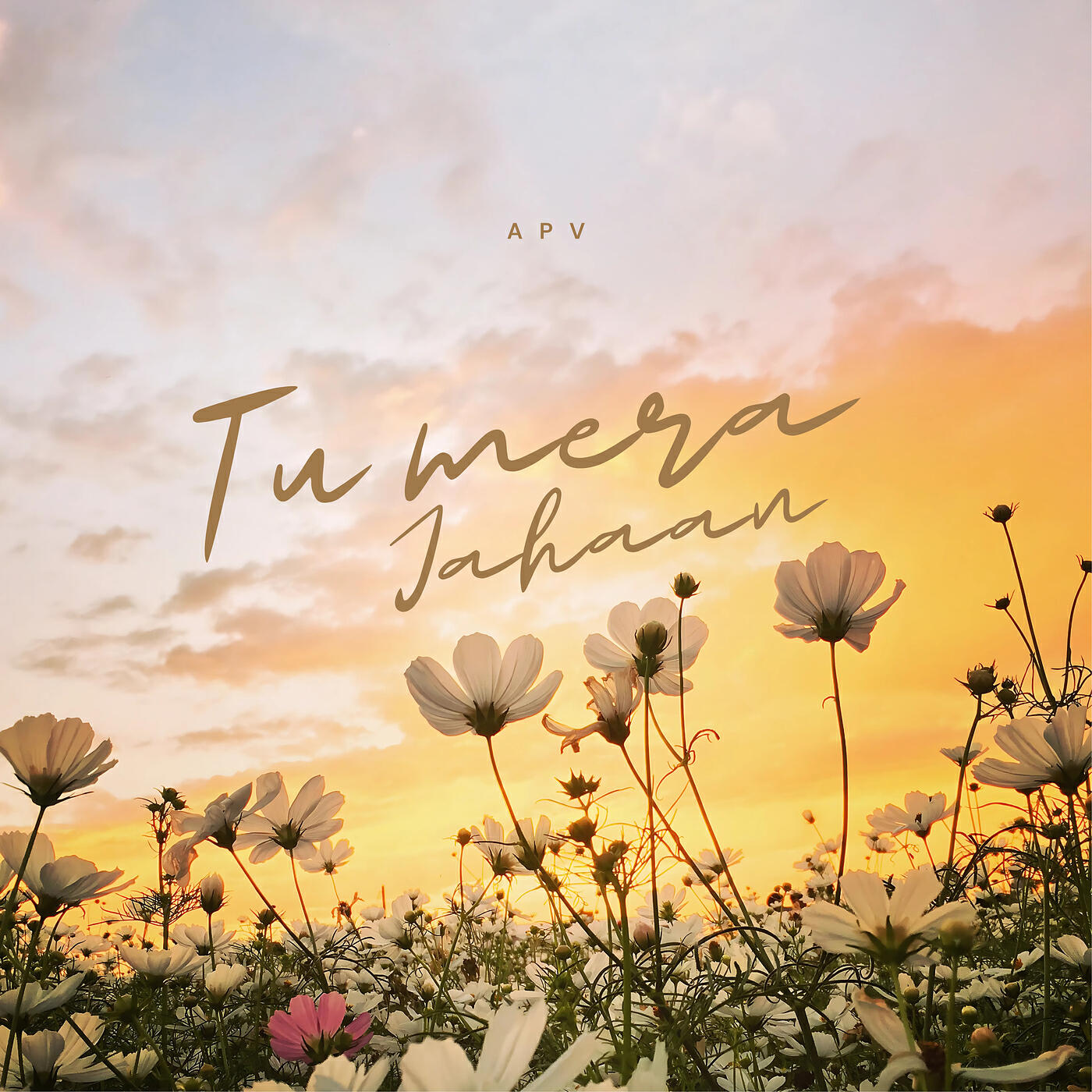 Релиз Tu Mera Jahaan