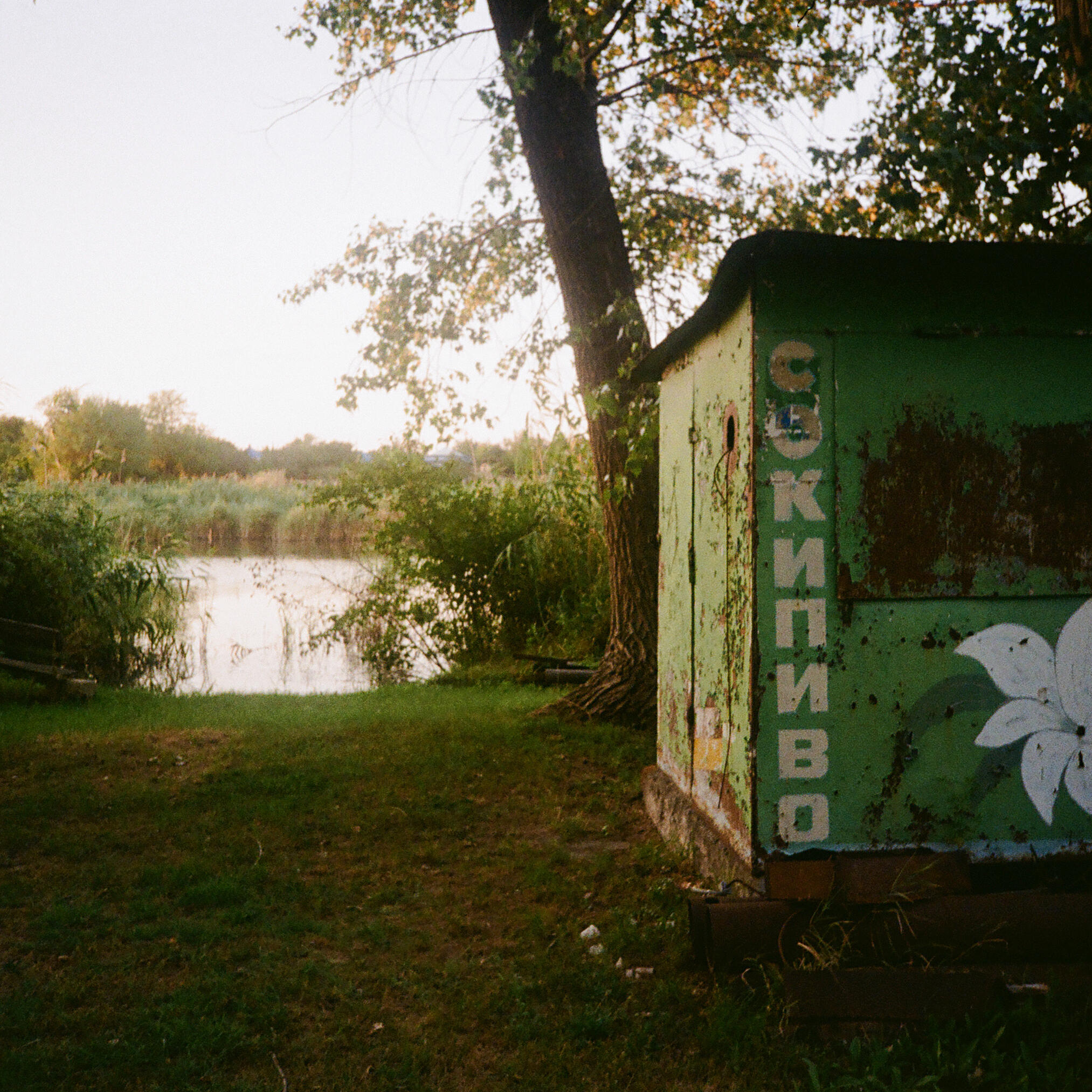 поели