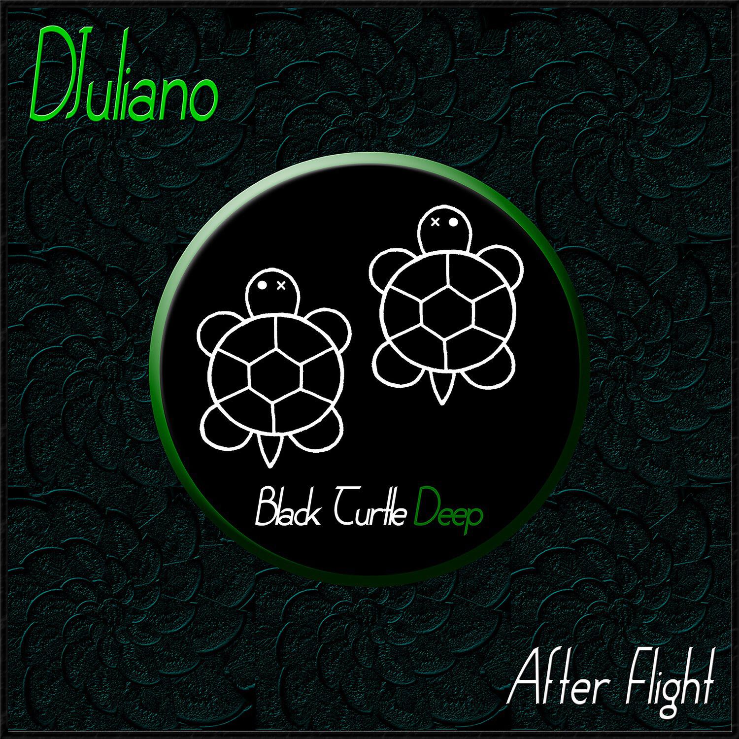 Релиз After Flight