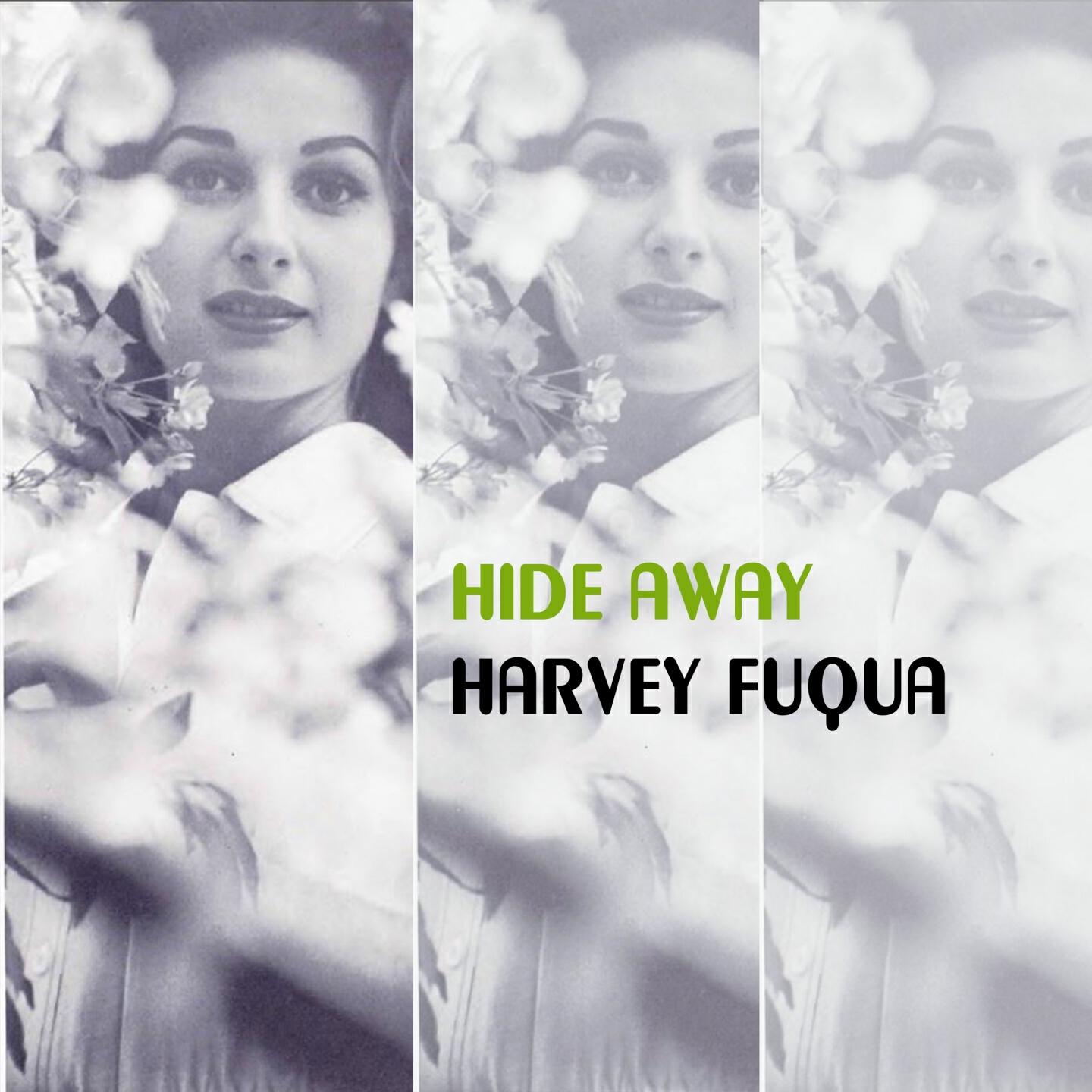 Релиз Hide Away