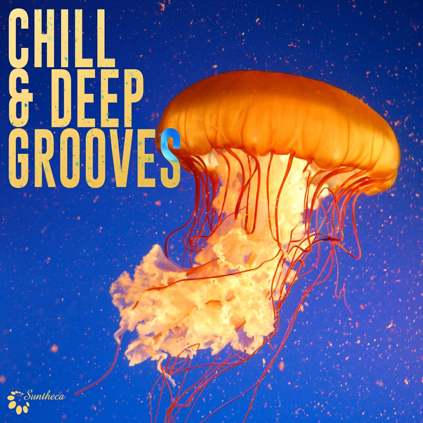Релиз Chill & Deep Grooves