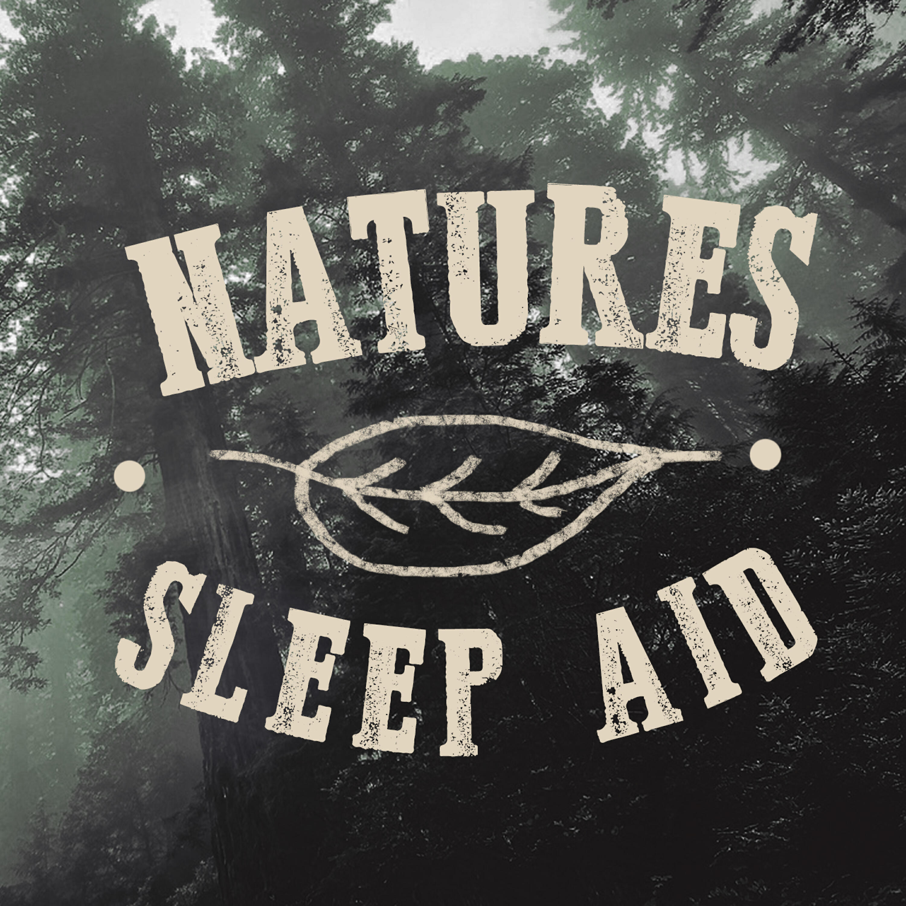 Natural Sleep