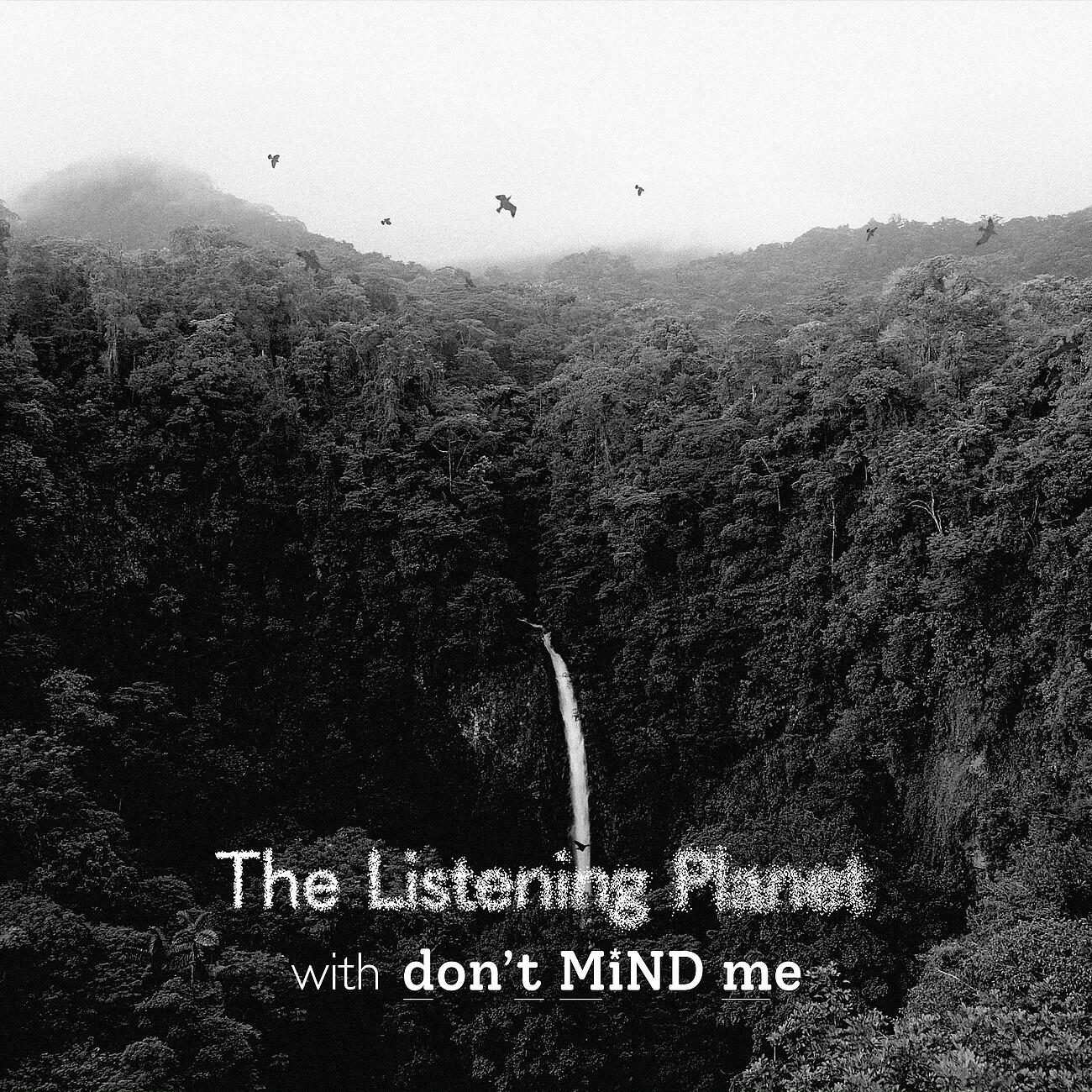 Релиз Meditation Stories: A Journey Through Water (Costa Rica)