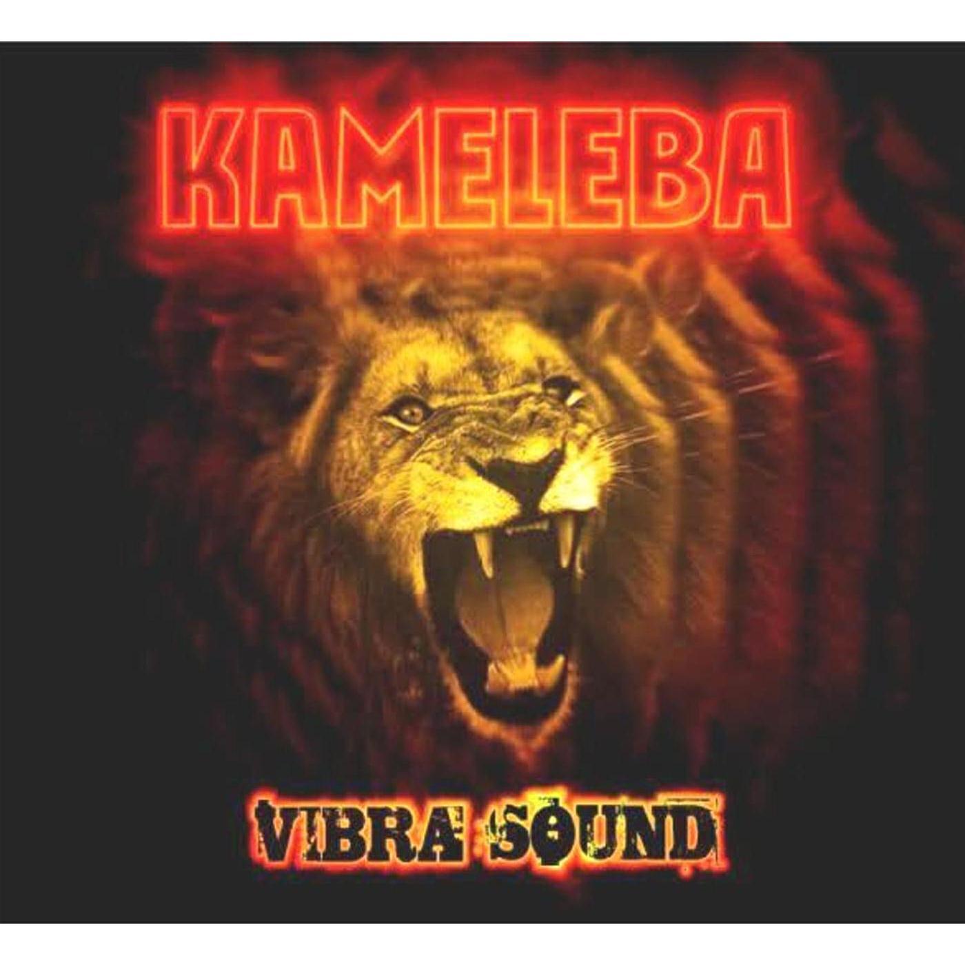 Релиз Vibrasound