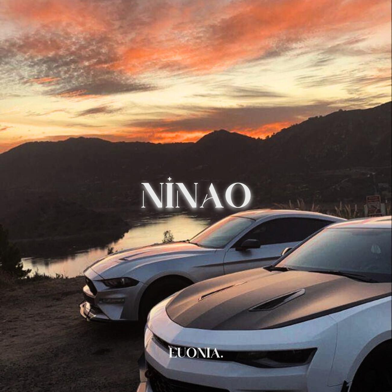 Релиз NINAO