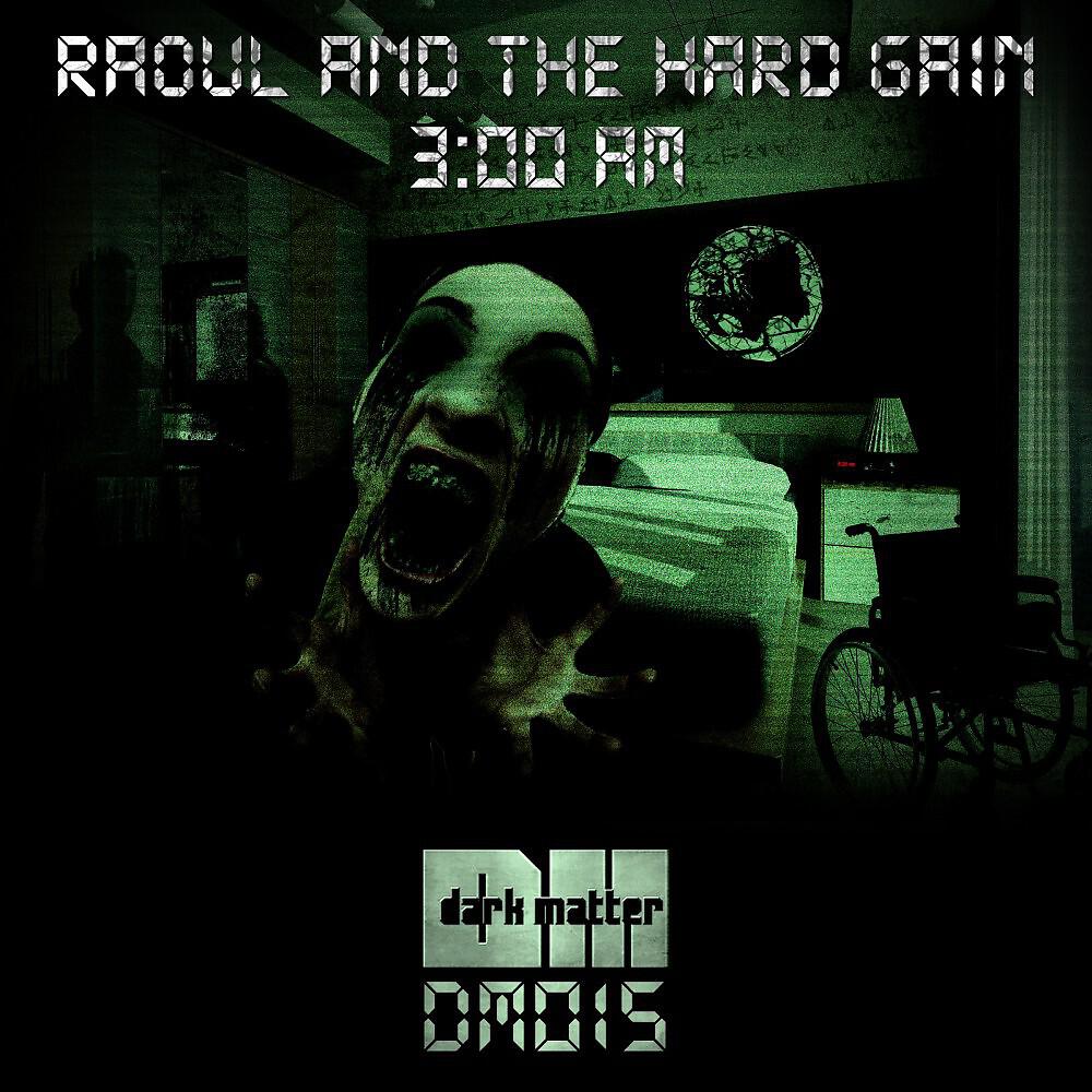Raoul & The Hard Gain