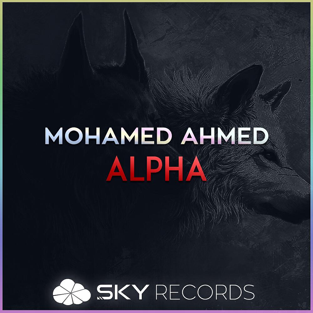 Релиз Alpha